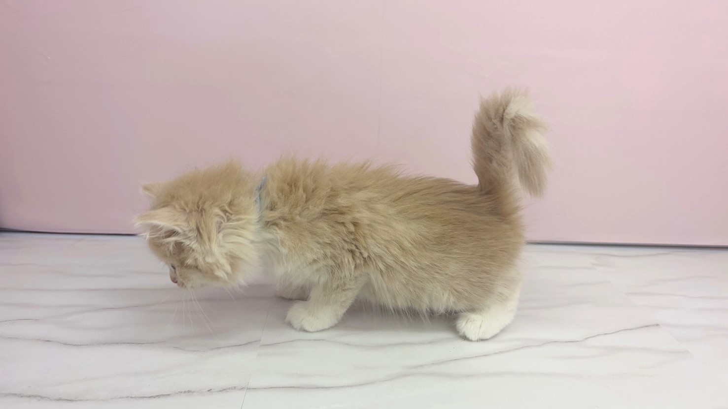 赤ちゃん写真2-2