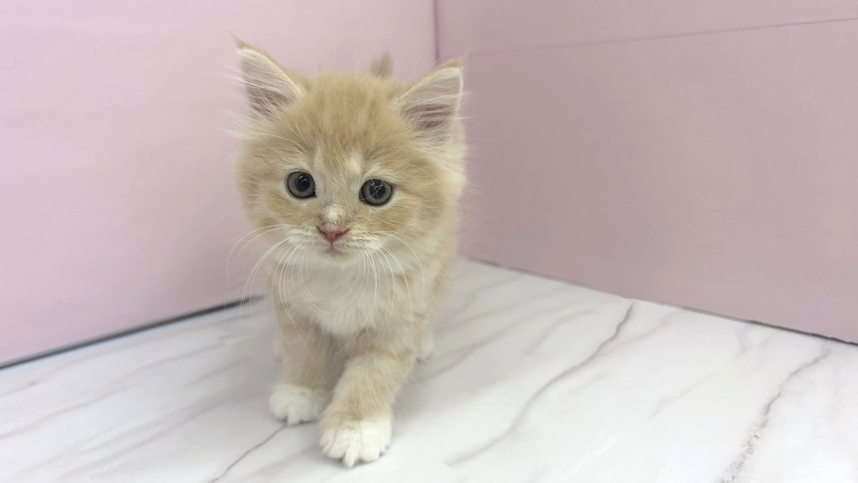 赤ちゃん写真2-1
