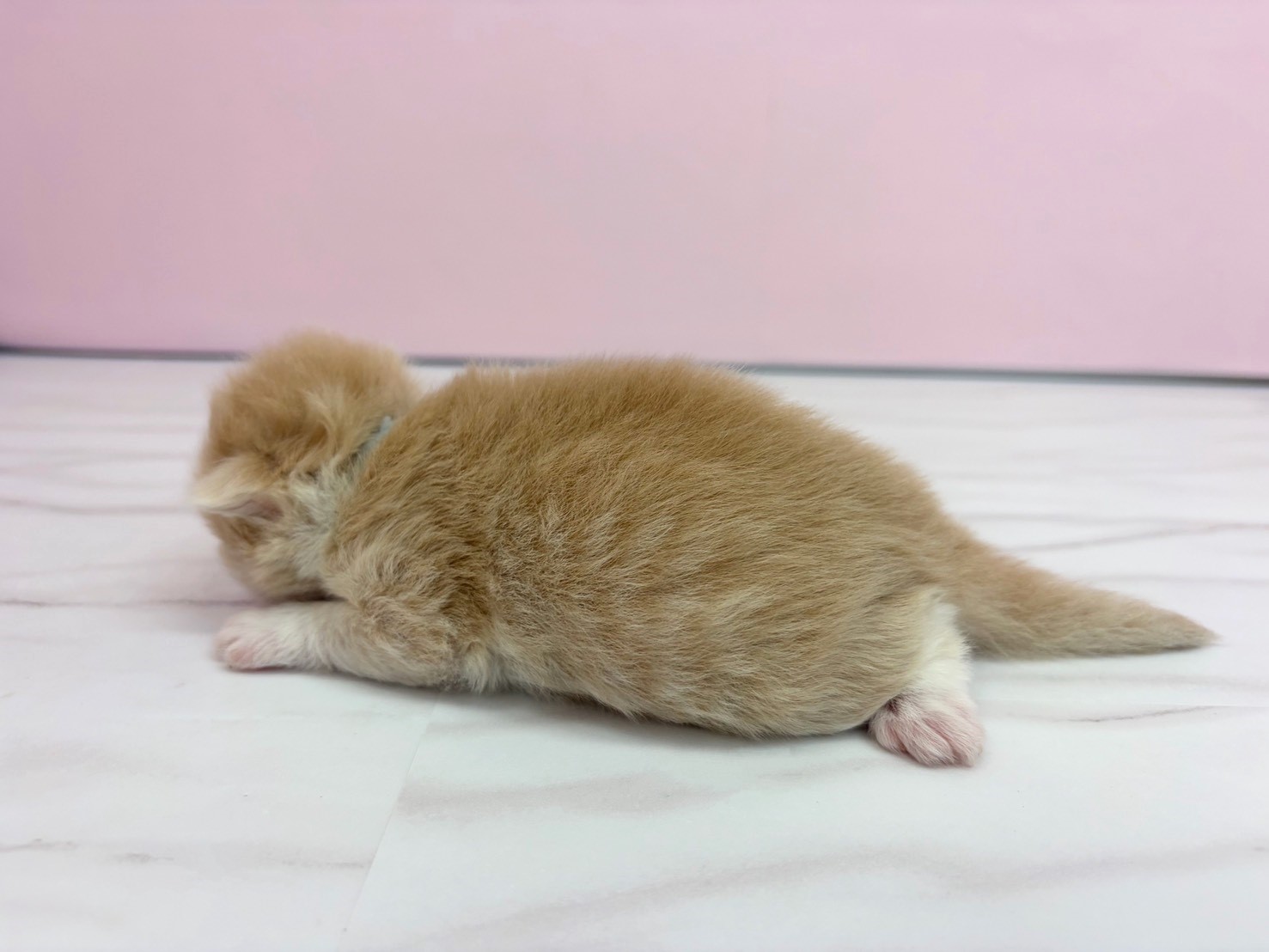 赤ちゃん写真1-2
