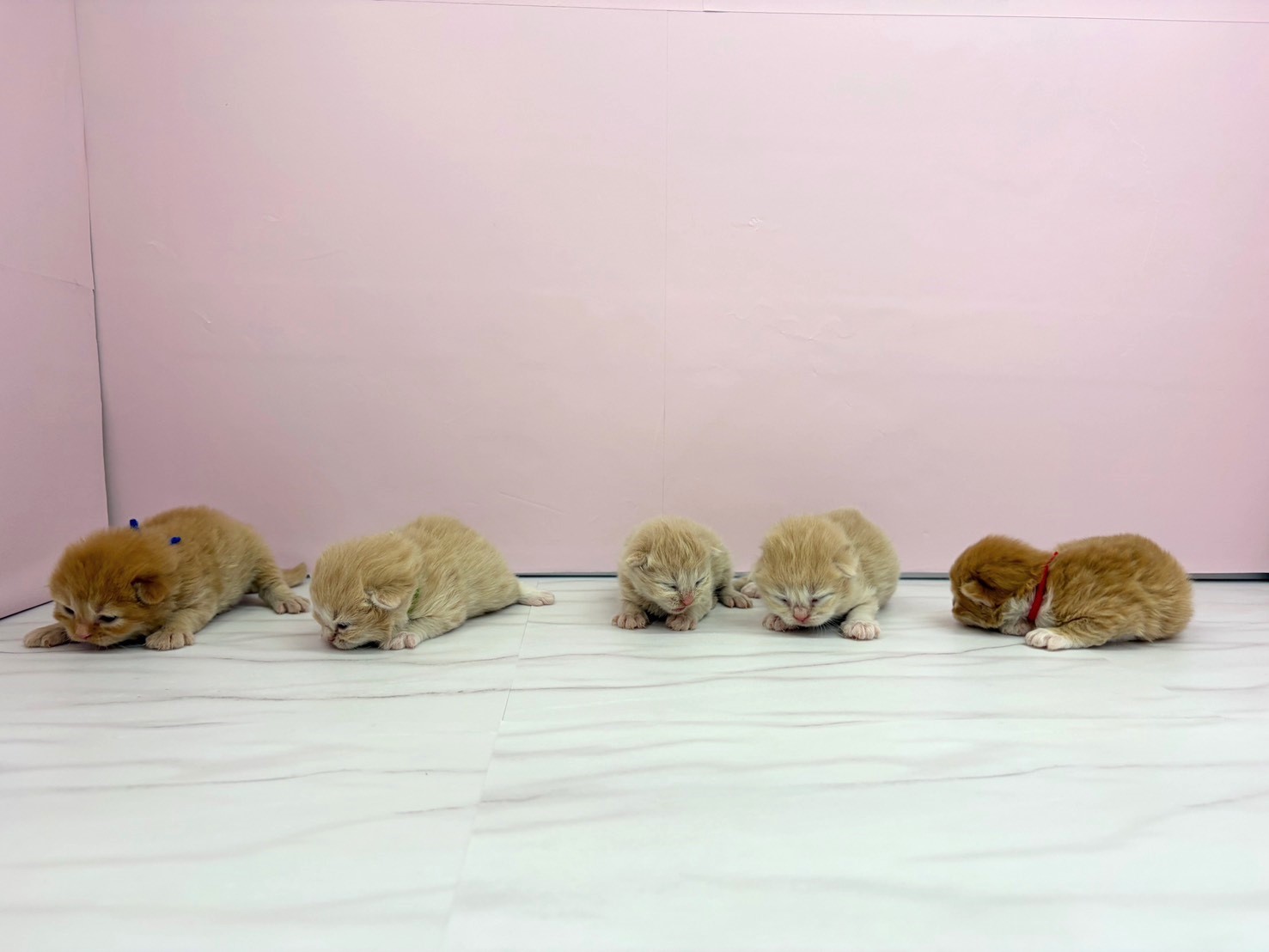 赤ちゃん写真1-3