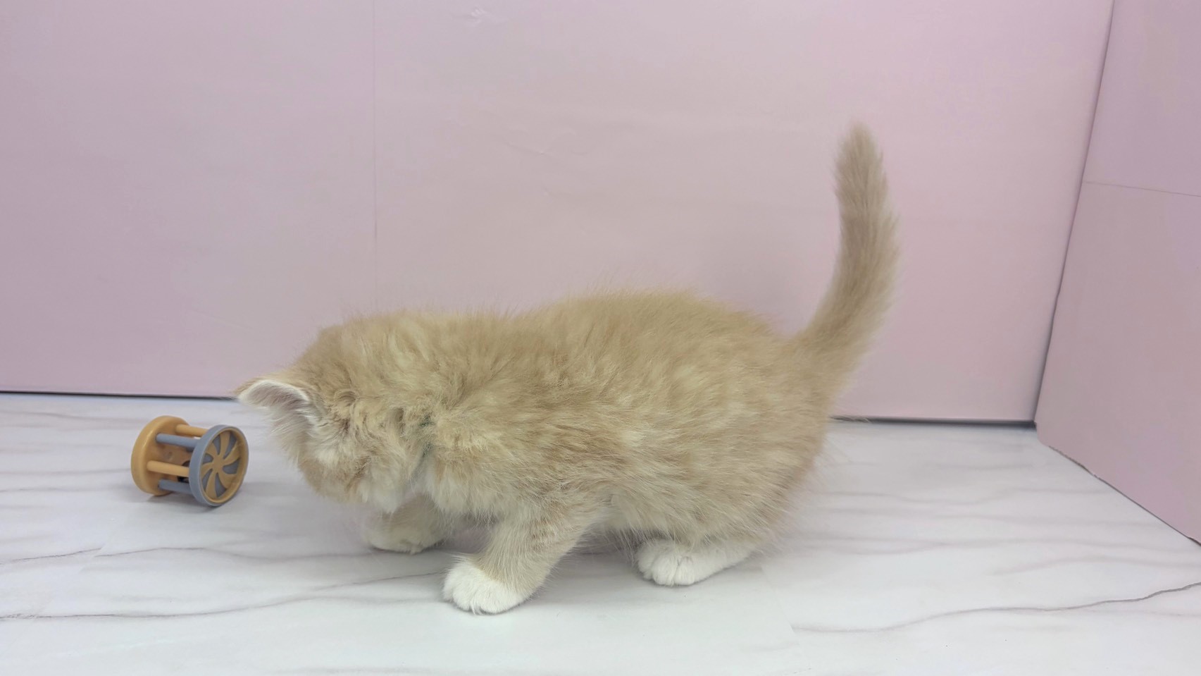 赤ちゃん写真2-2
