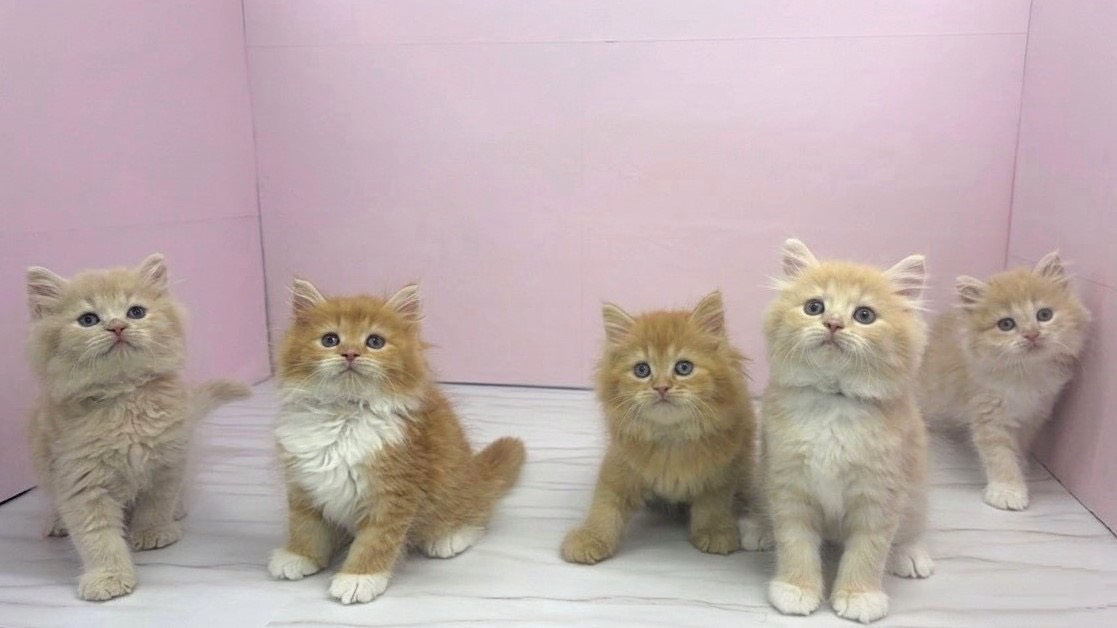 赤ちゃん写真2-3