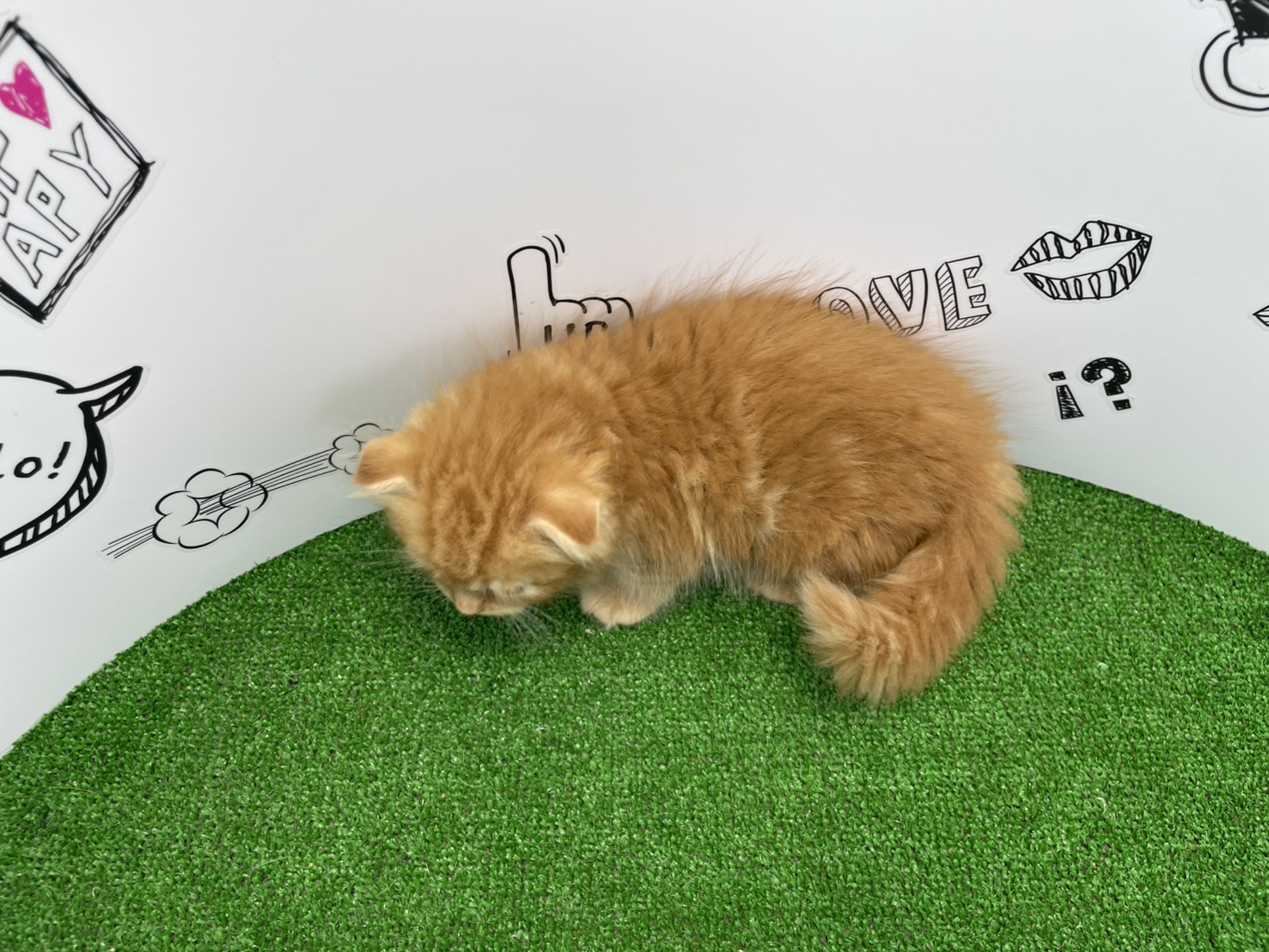 赤ちゃん写真3-3