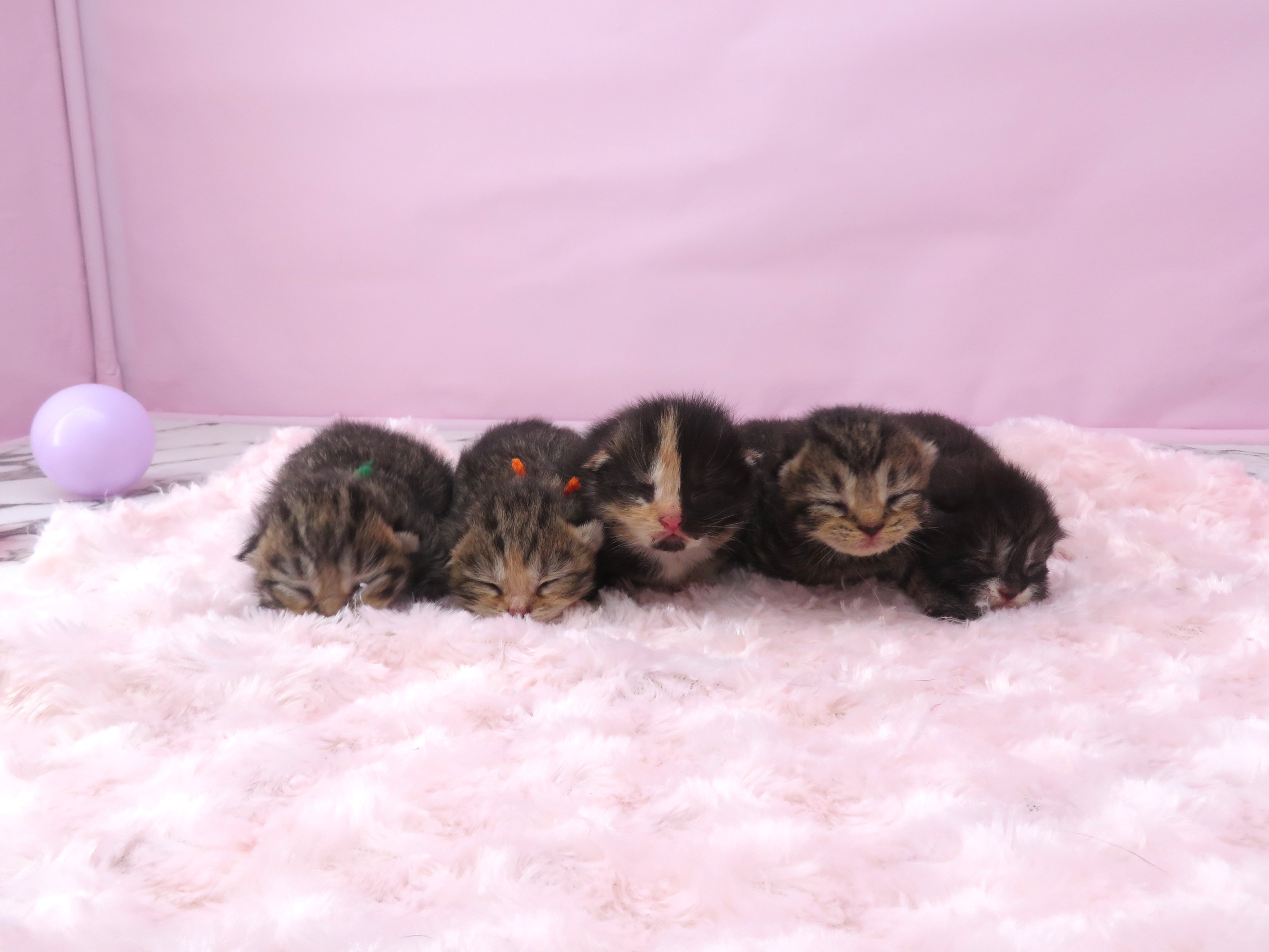 赤ちゃん写真1-3