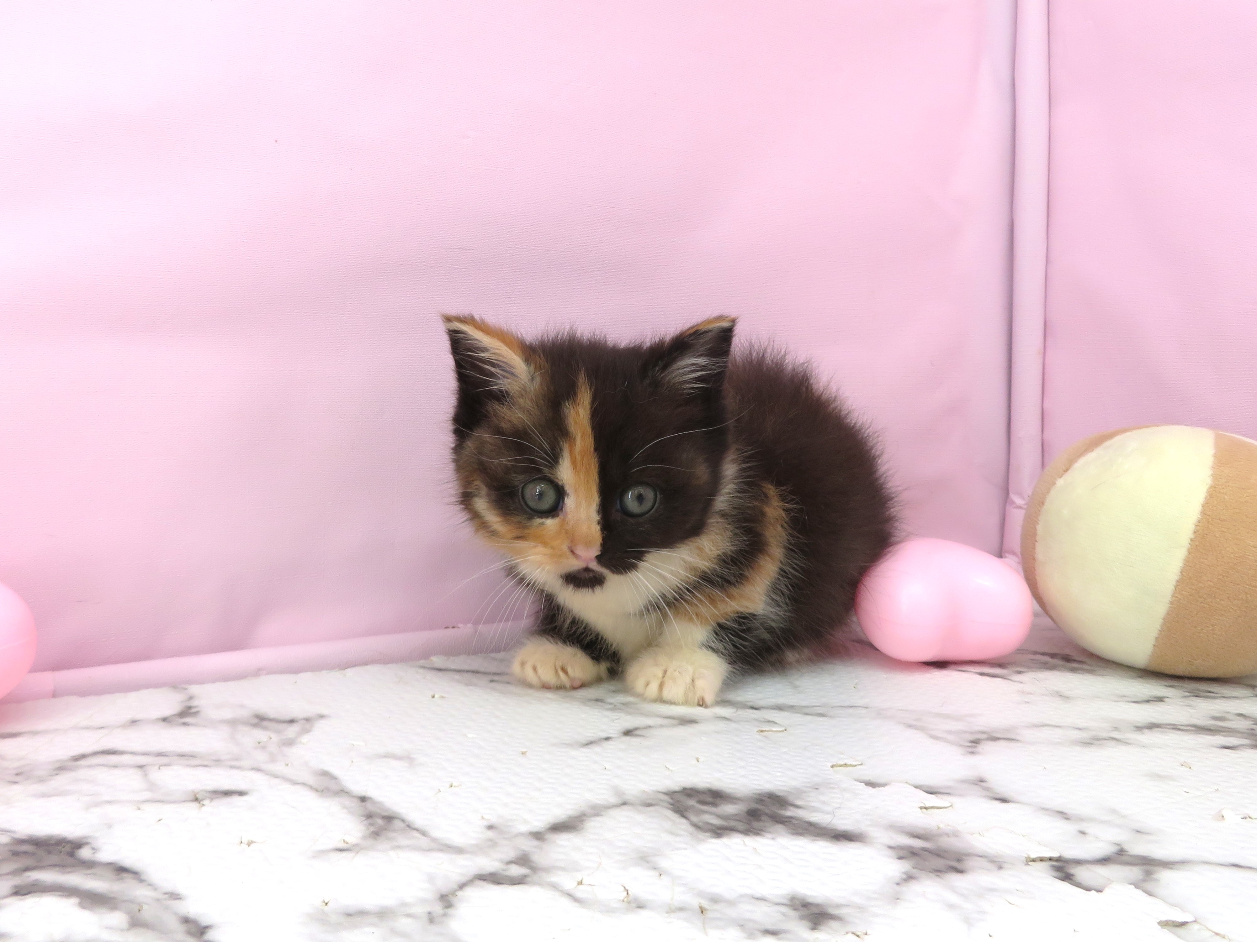 赤ちゃん写真2-1