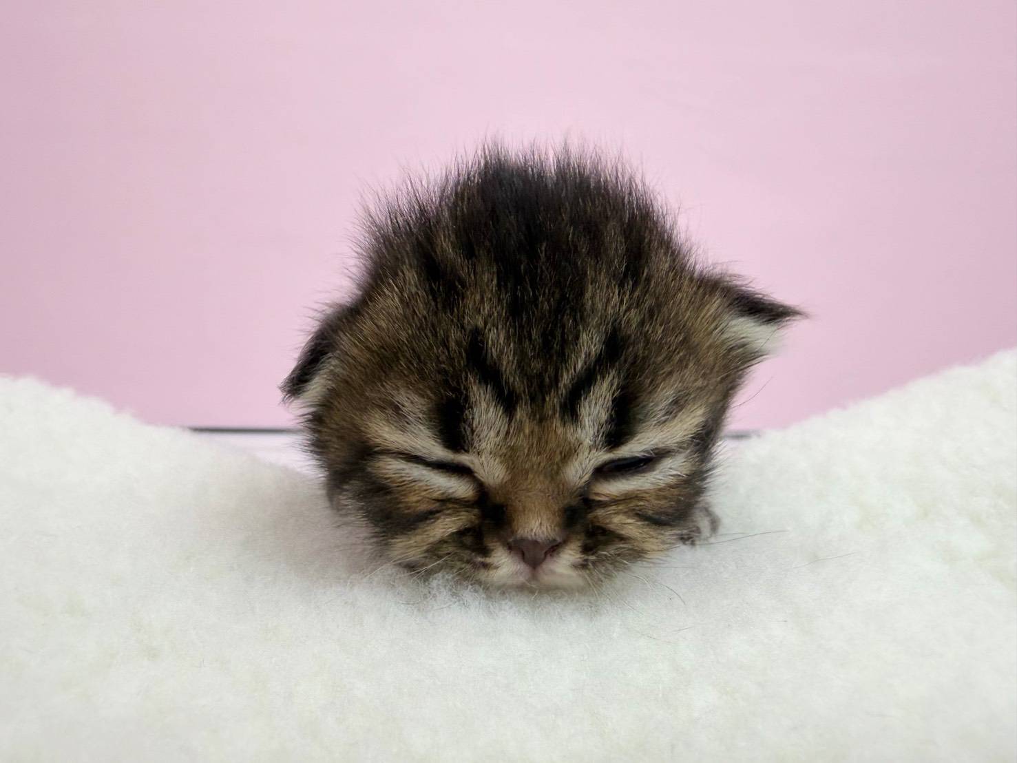 赤ちゃん写真1-1