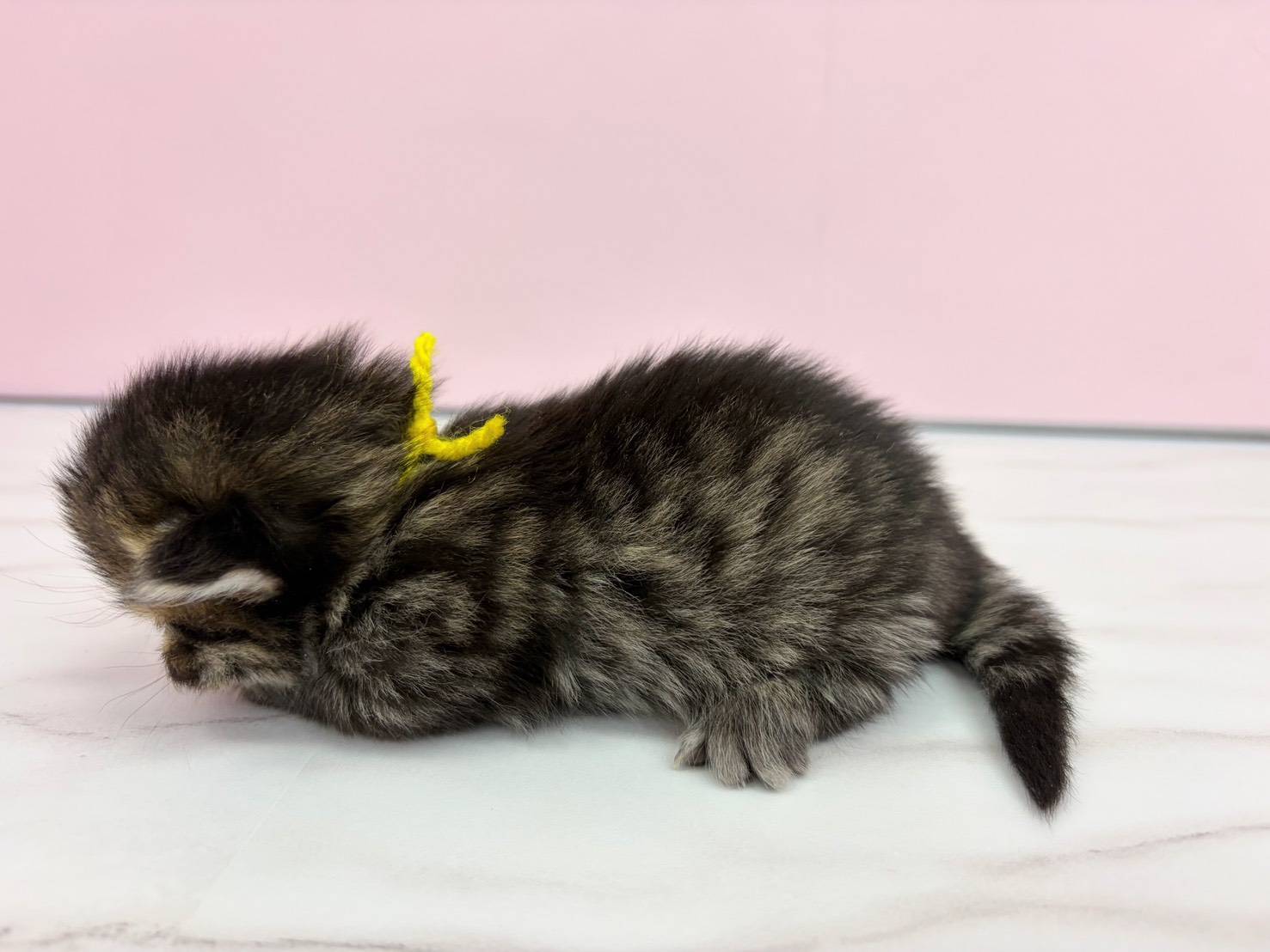 赤ちゃん写真1-2