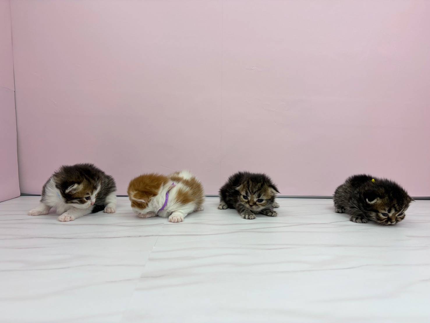 赤ちゃん写真1-3