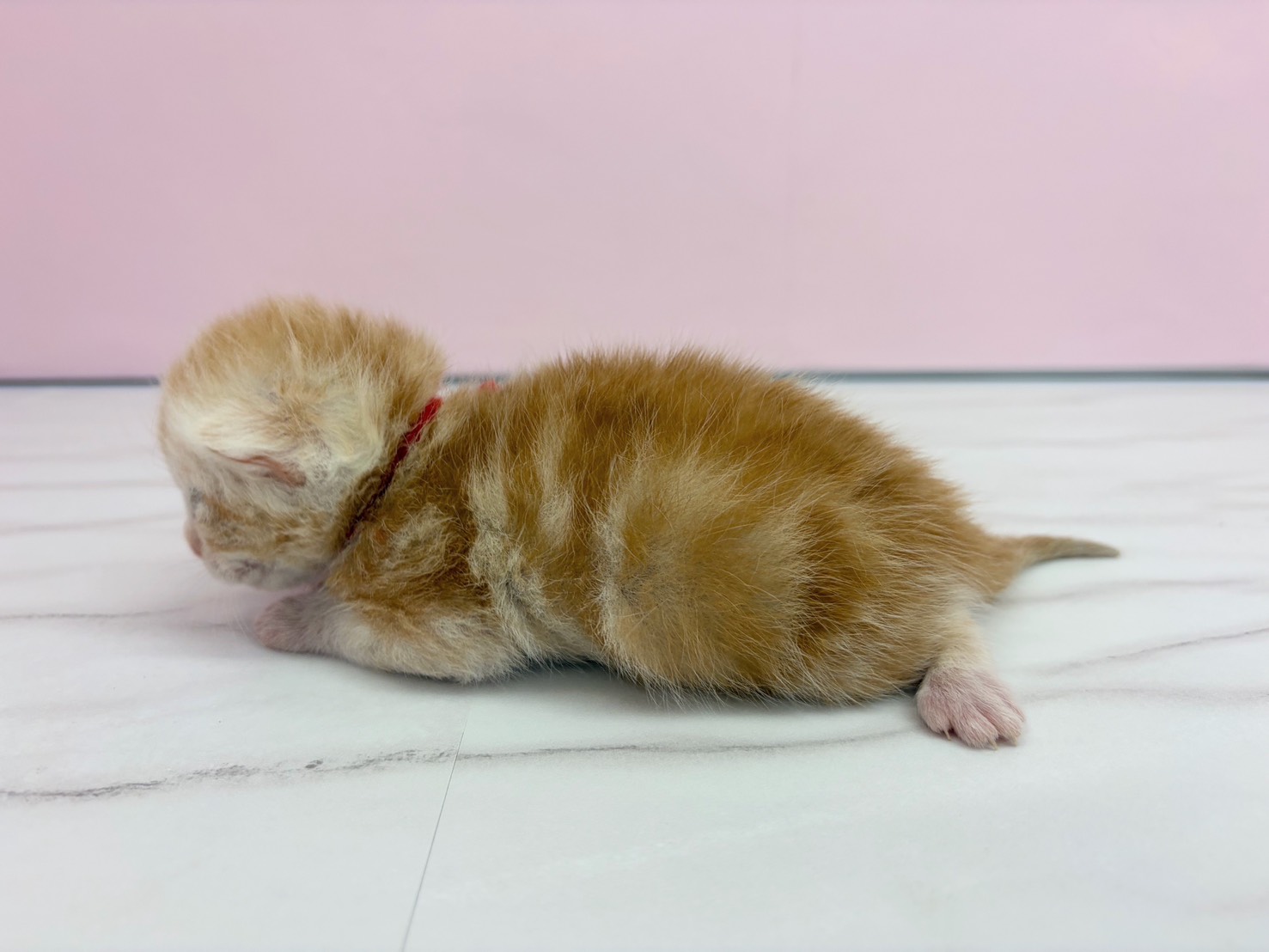 赤ちゃん写真1-2