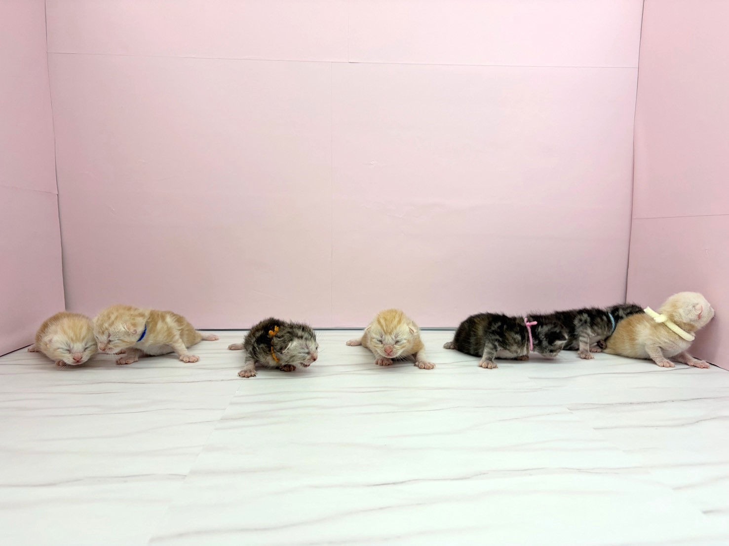 赤ちゃん写真1-3