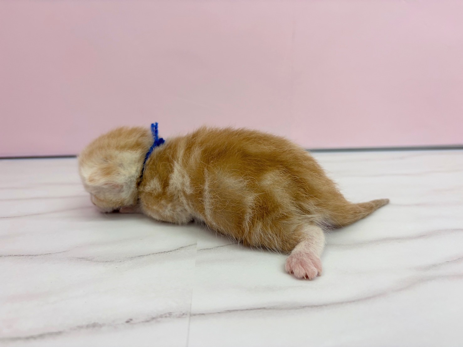 赤ちゃん写真1-2