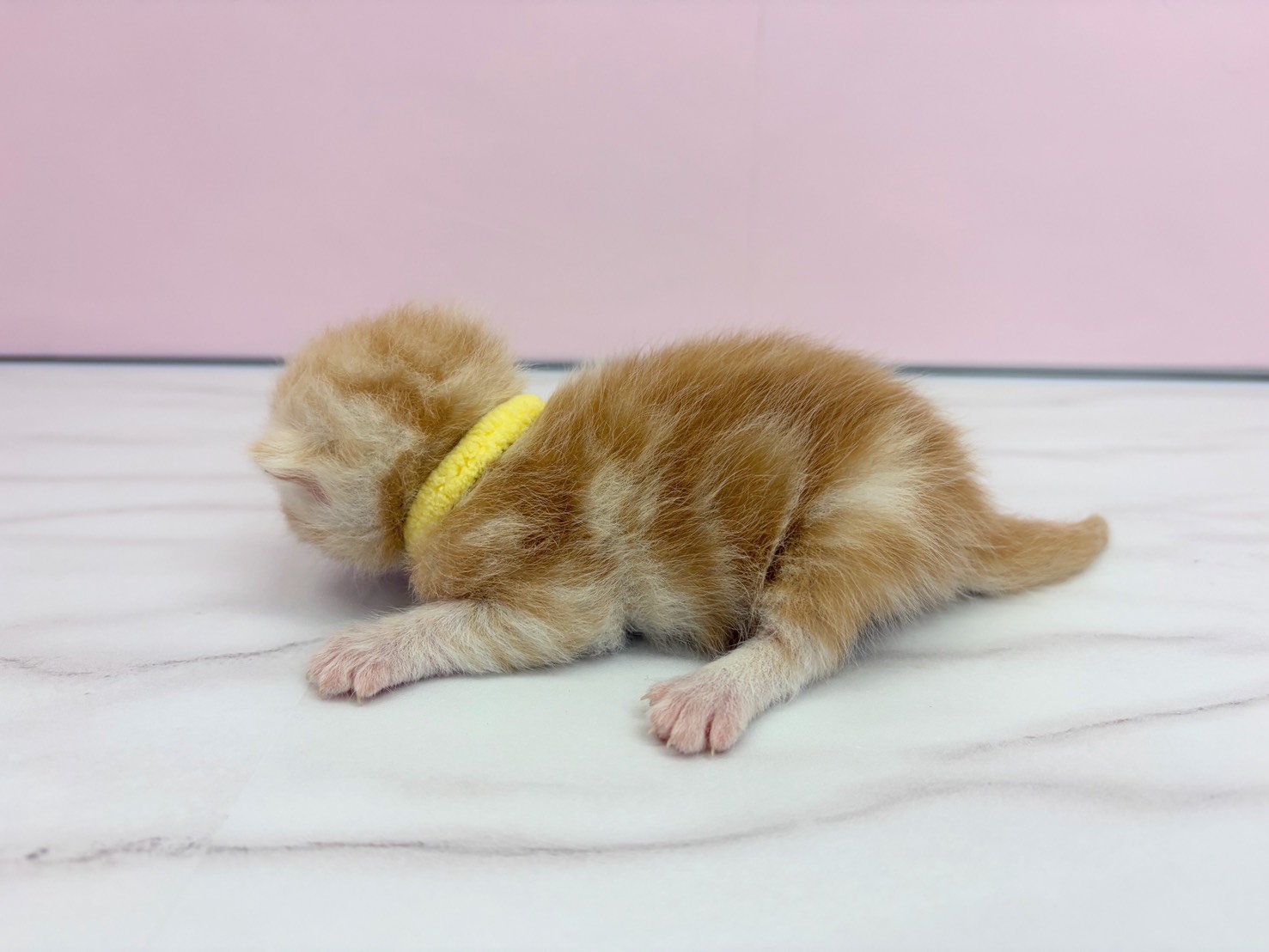 赤ちゃん写真1-2