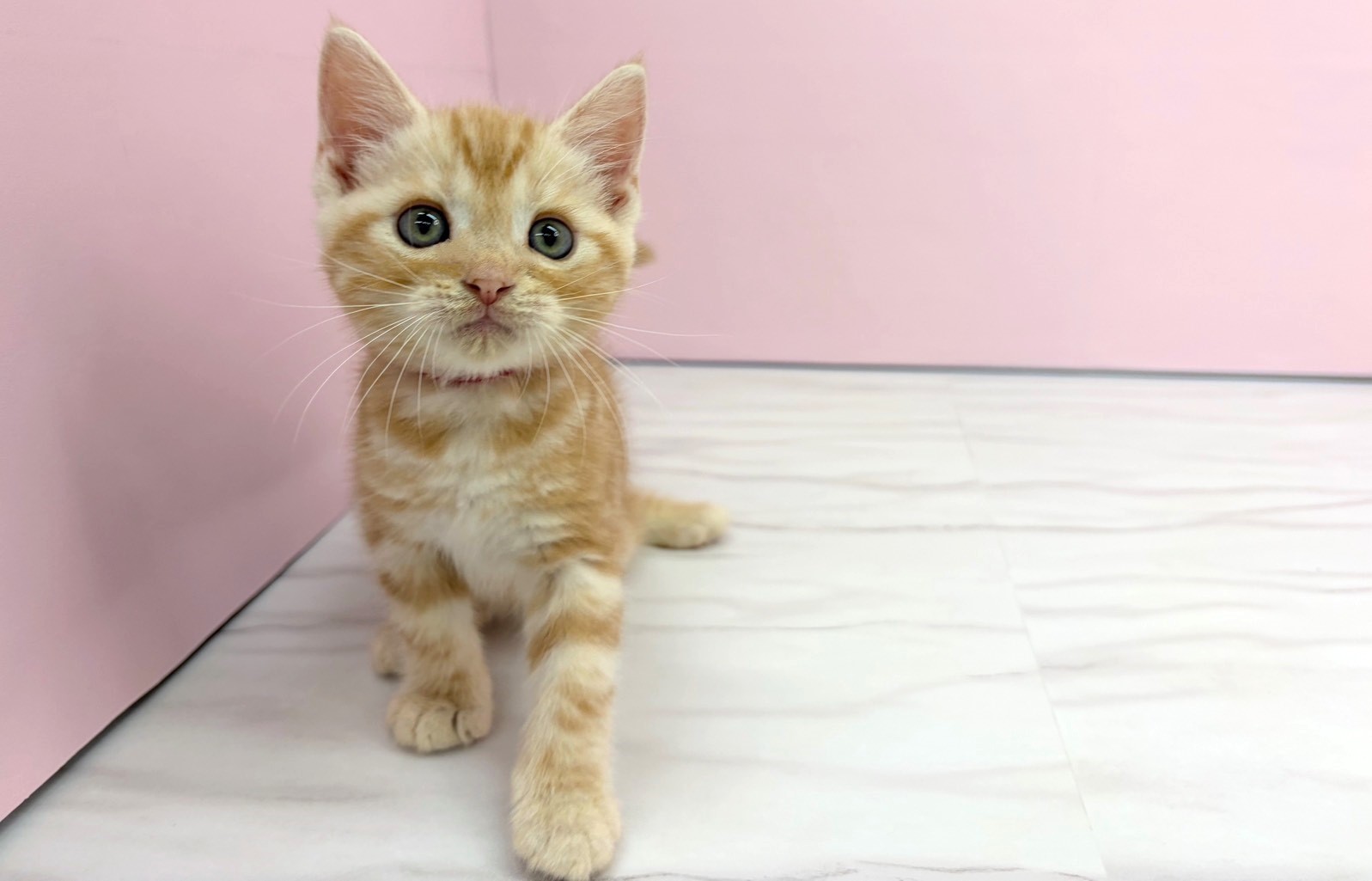 赤ちゃん写真2-1