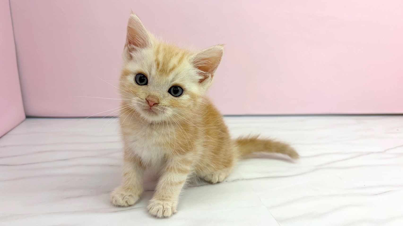 赤ちゃん写真2-1