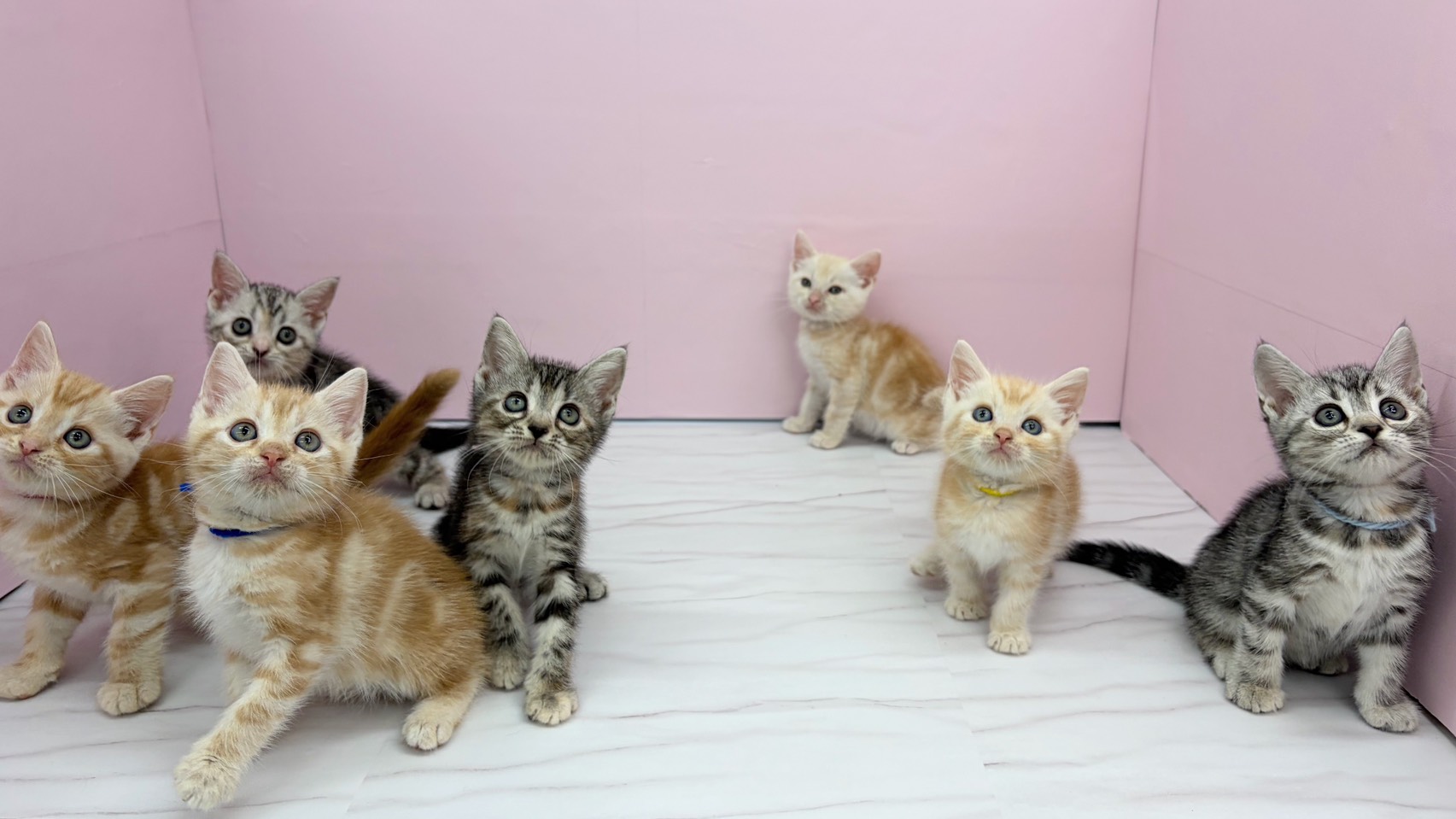 赤ちゃん写真2-3