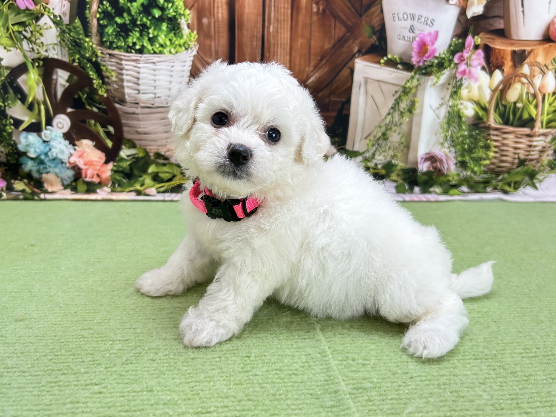 赤ちゃん写真2-3