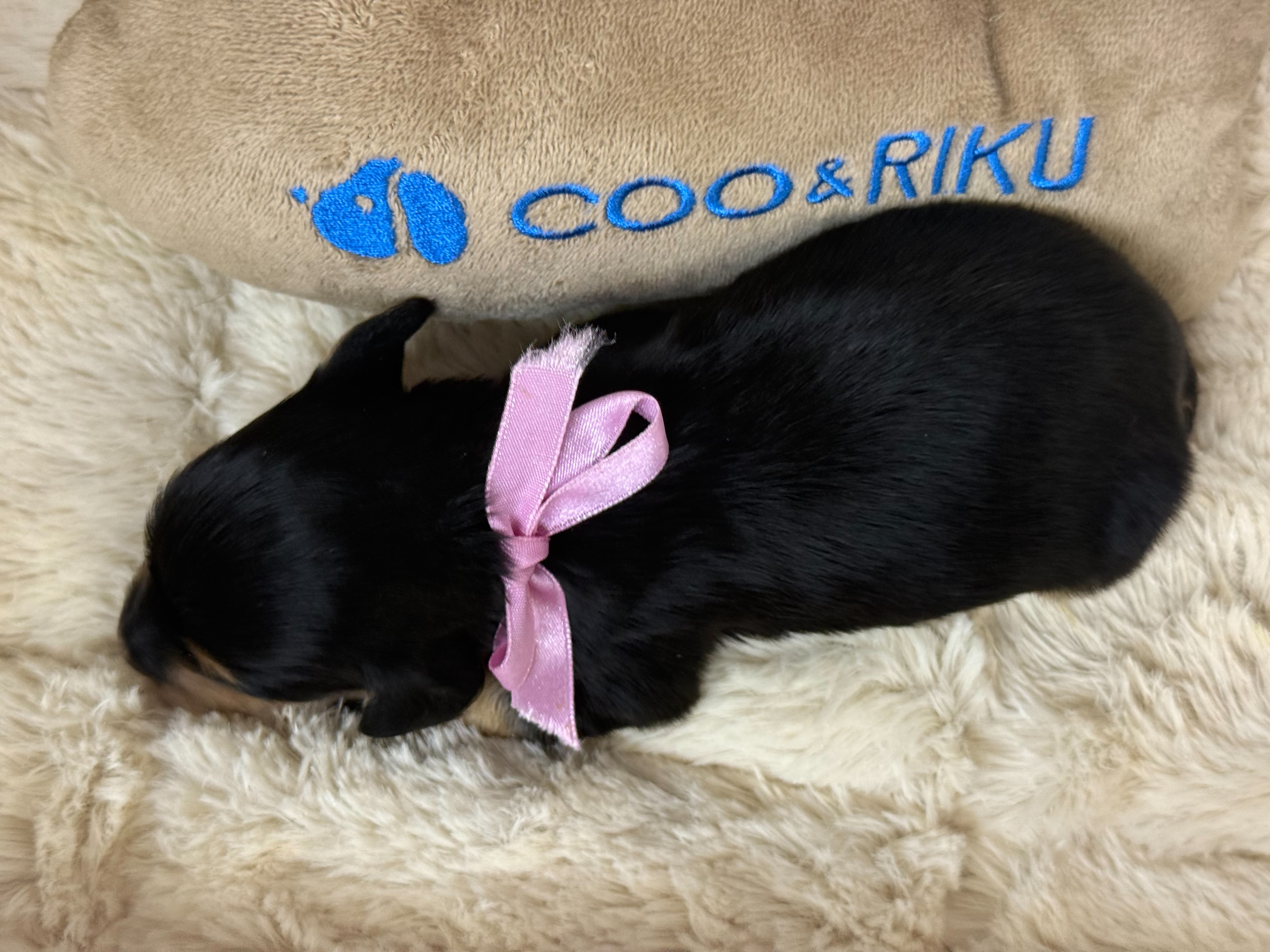 赤ちゃん写真1-3
