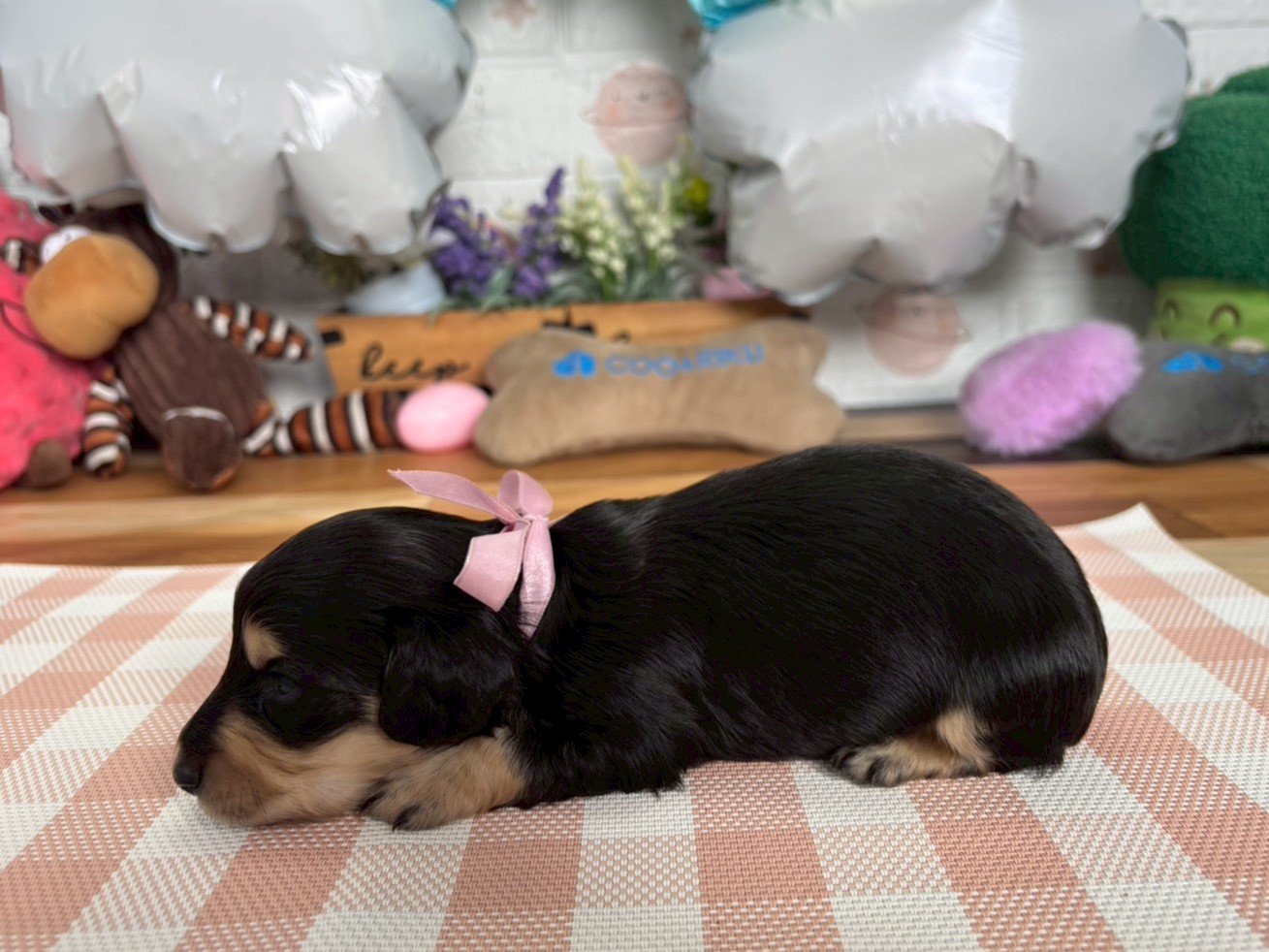赤ちゃん写真2-2
