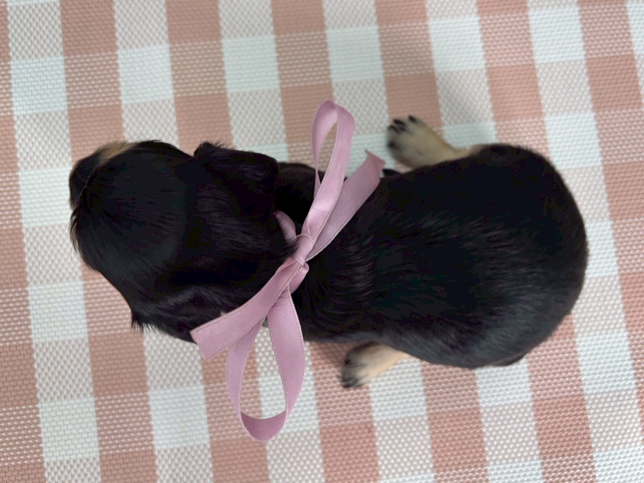 赤ちゃん写真2-3
