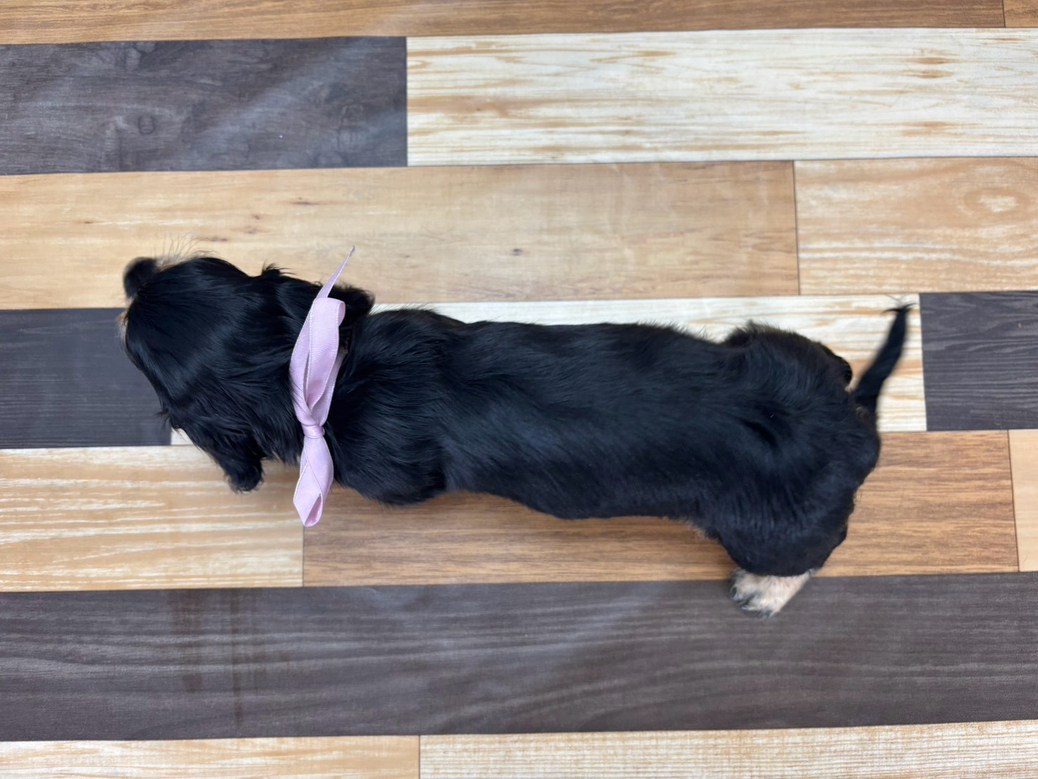 赤ちゃん写真3-3