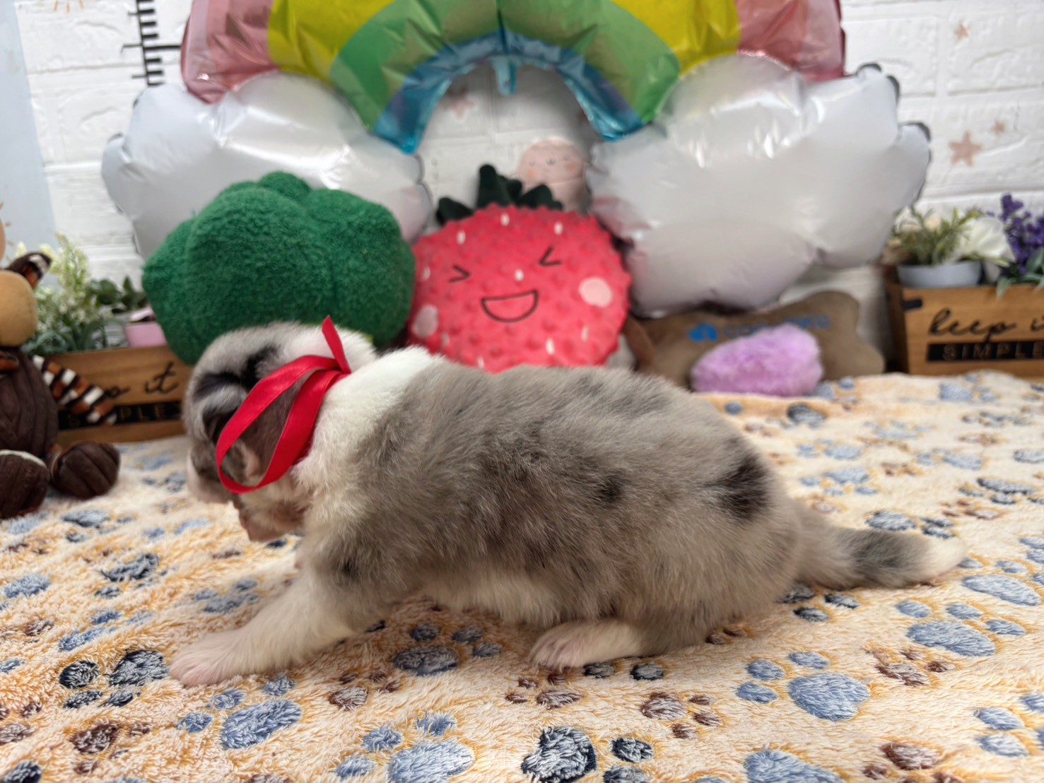 赤ちゃん写真2-2