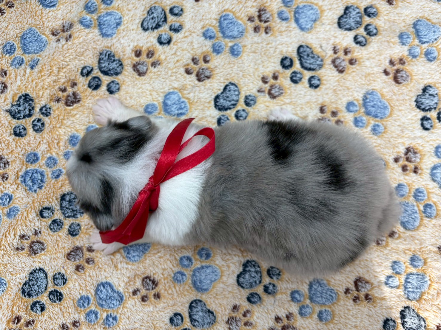 赤ちゃん写真2-3
