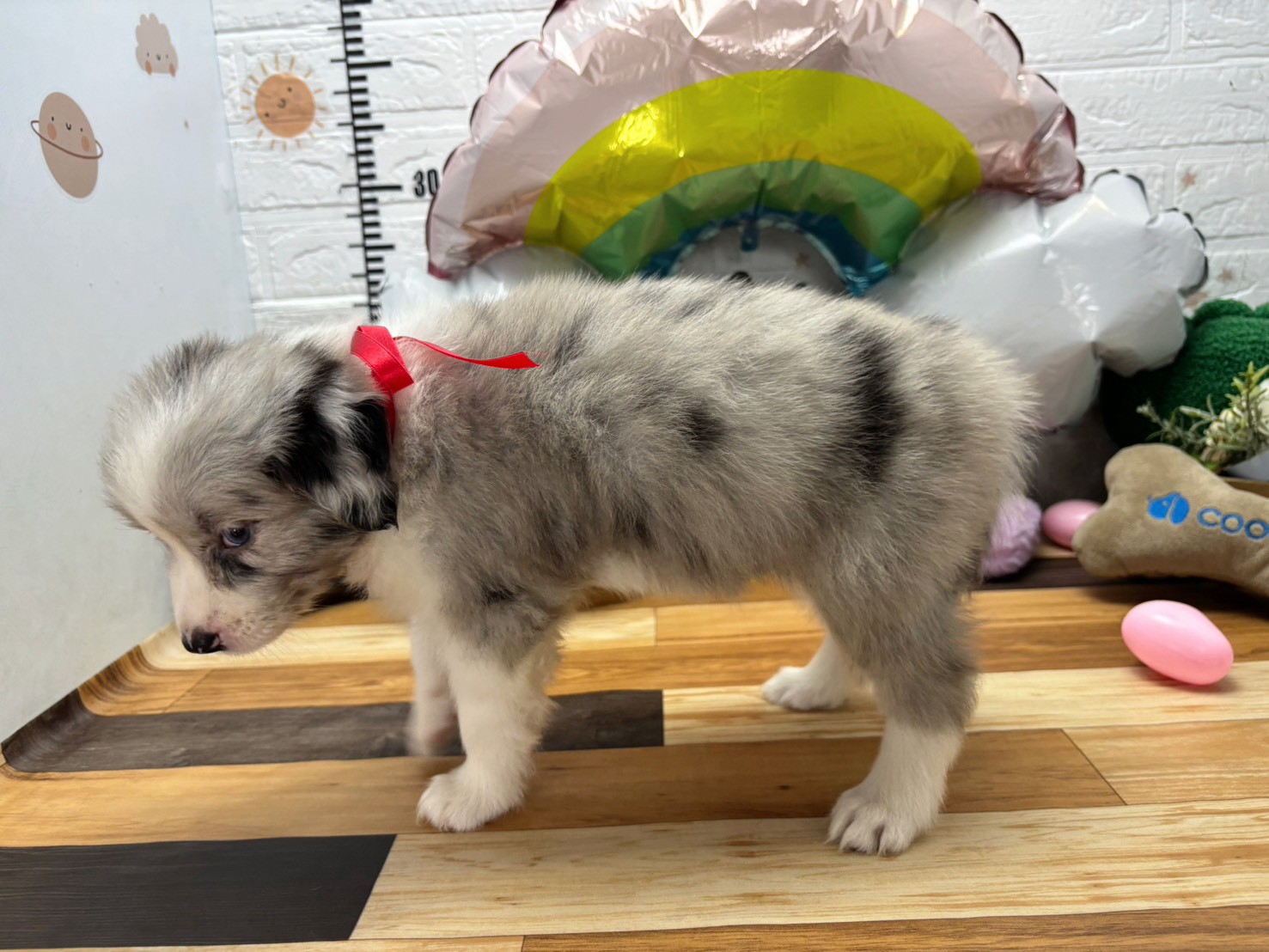 赤ちゃん写真3-2