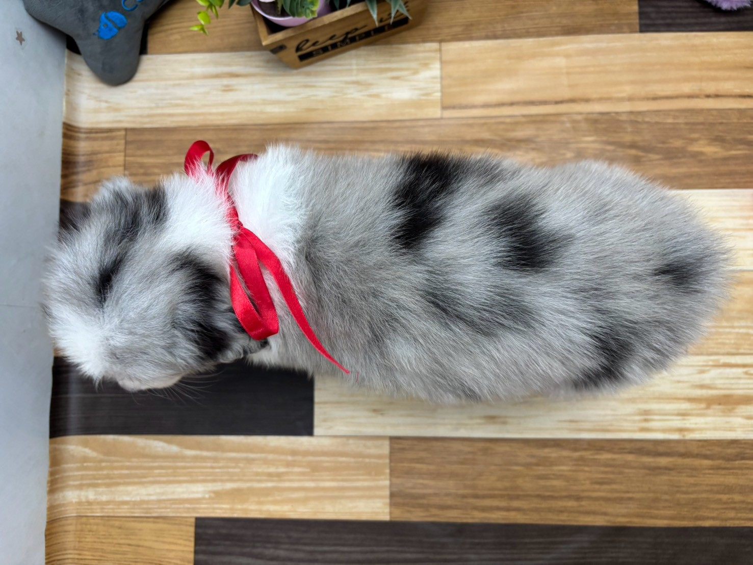 赤ちゃん写真3-3