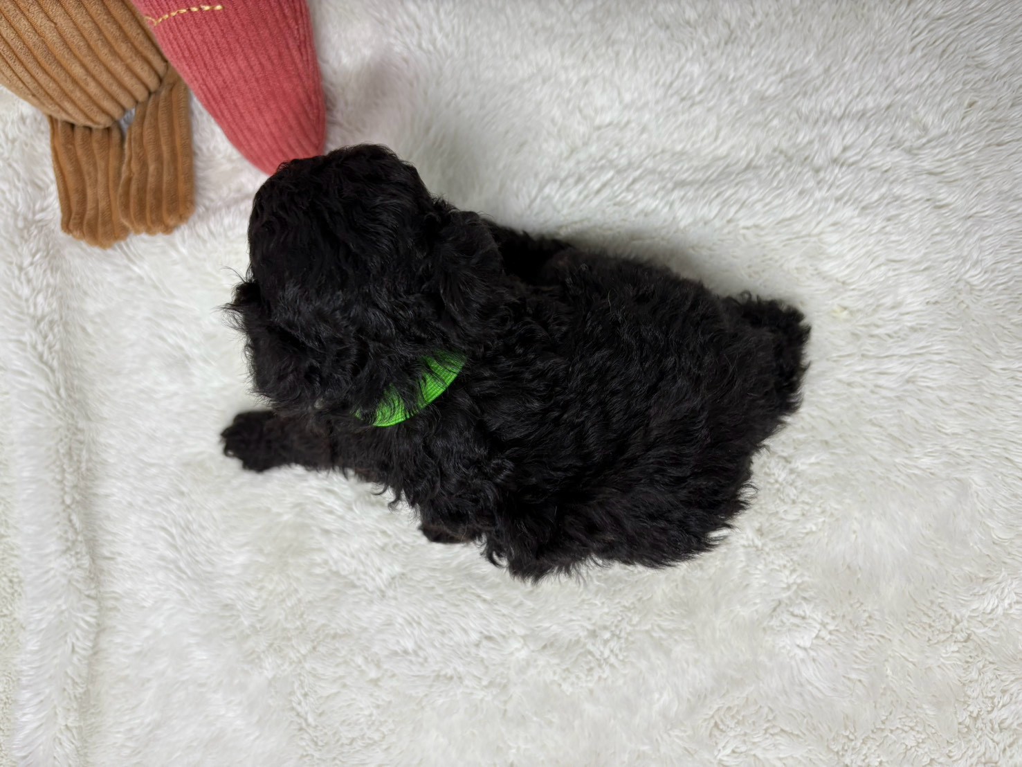 赤ちゃん写真2-3