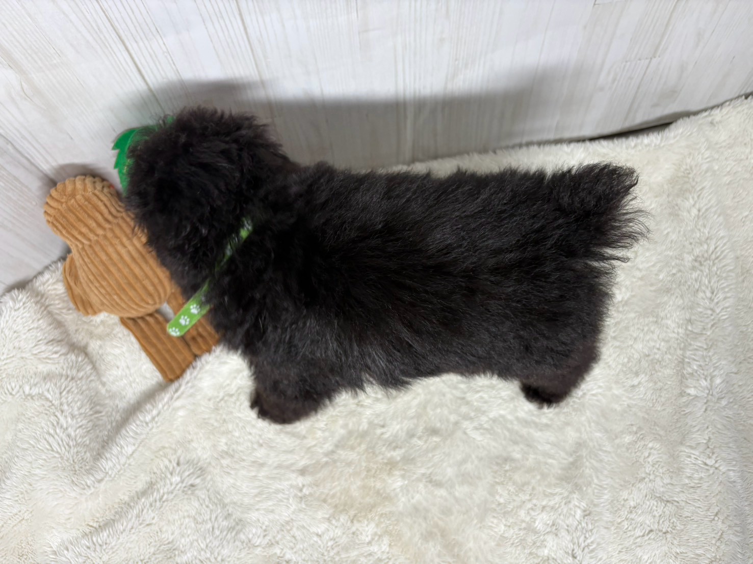赤ちゃん写真3-3