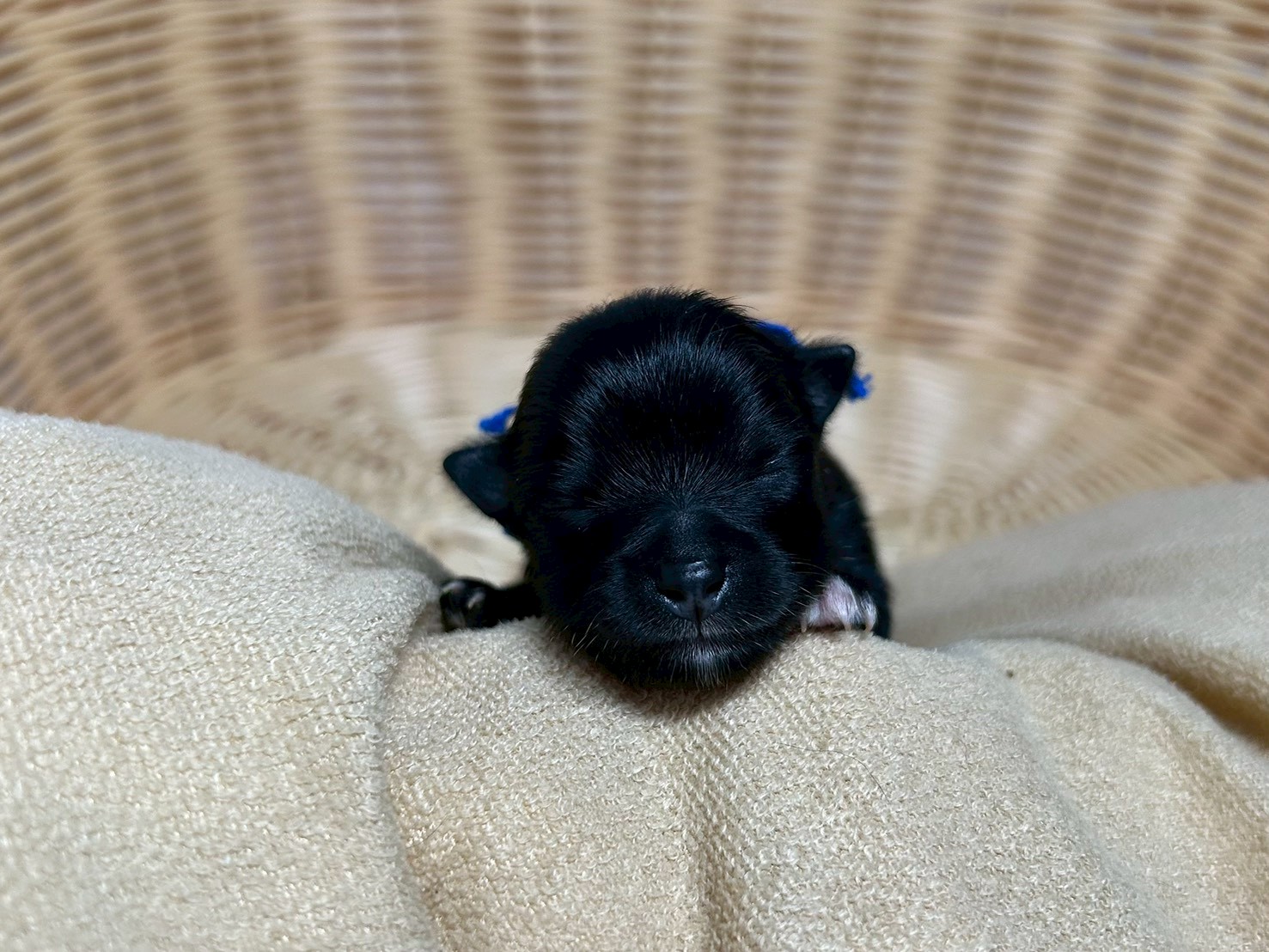 赤ちゃん写真1-1