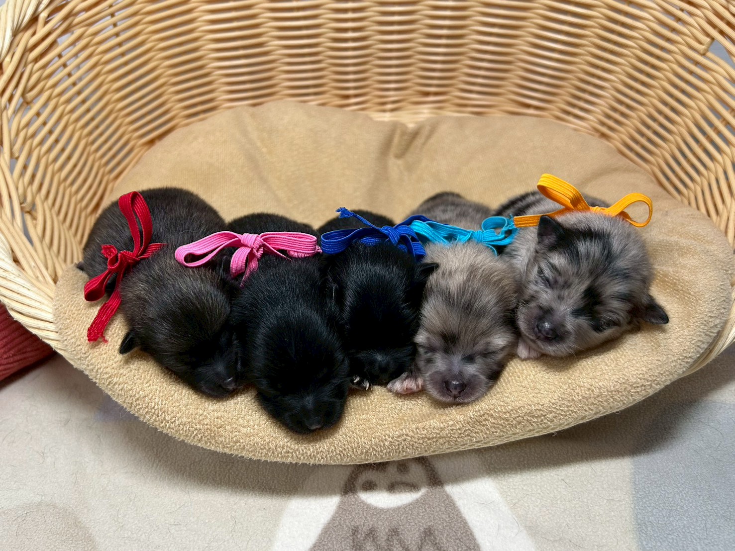 赤ちゃん写真1-3