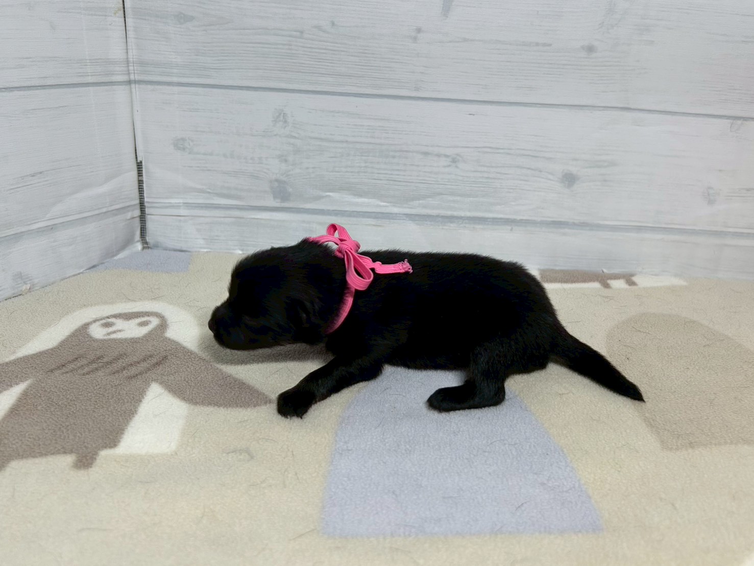 赤ちゃん写真1-2