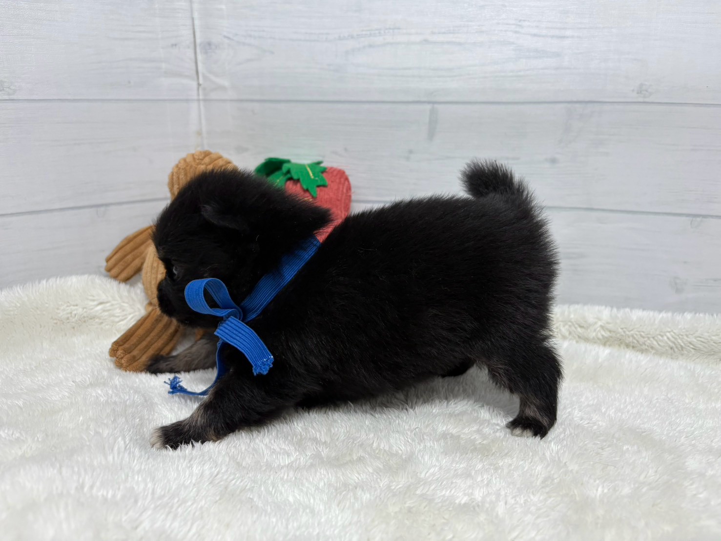赤ちゃん写真2-2