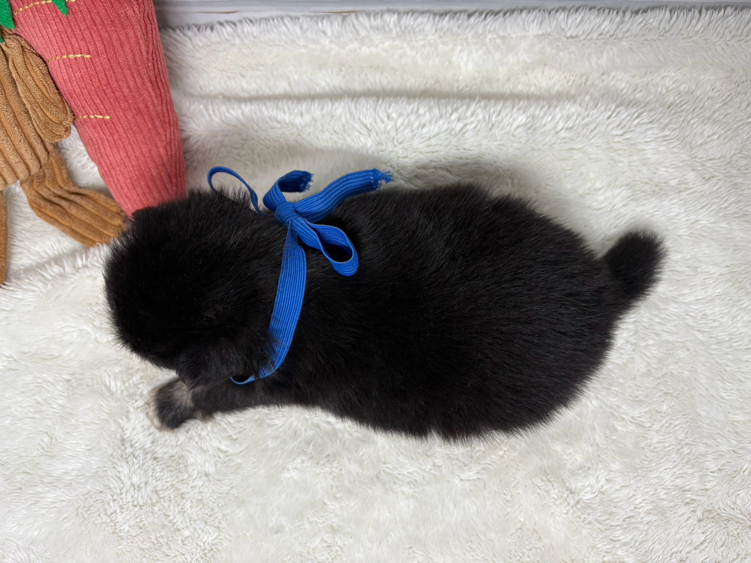 赤ちゃん写真2-3