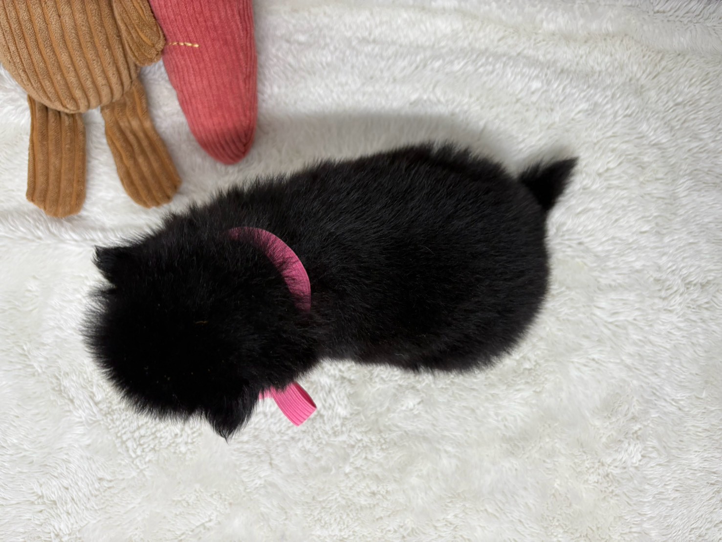 赤ちゃん写真2-3