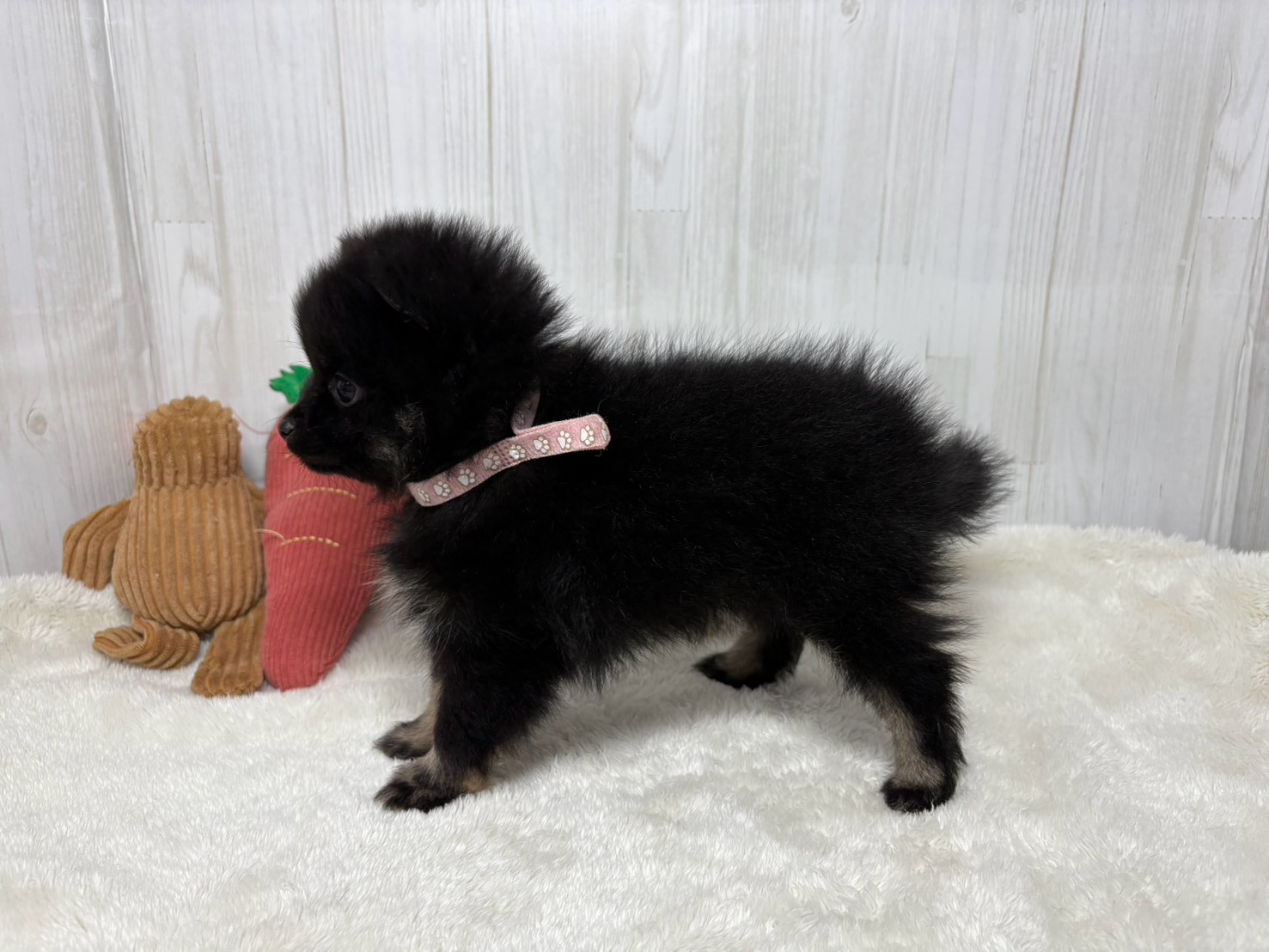 赤ちゃん写真3-2
