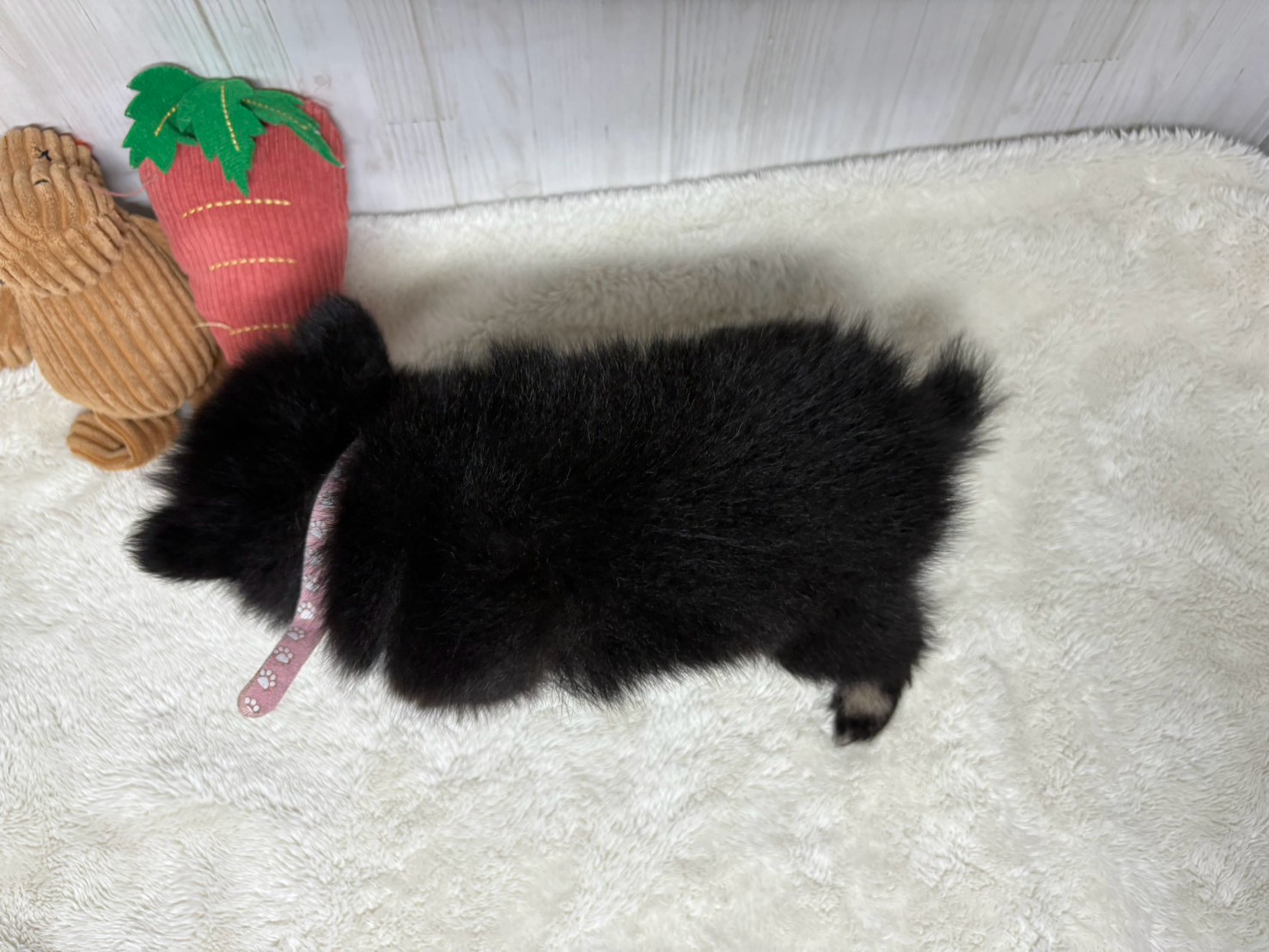 赤ちゃん写真3-3