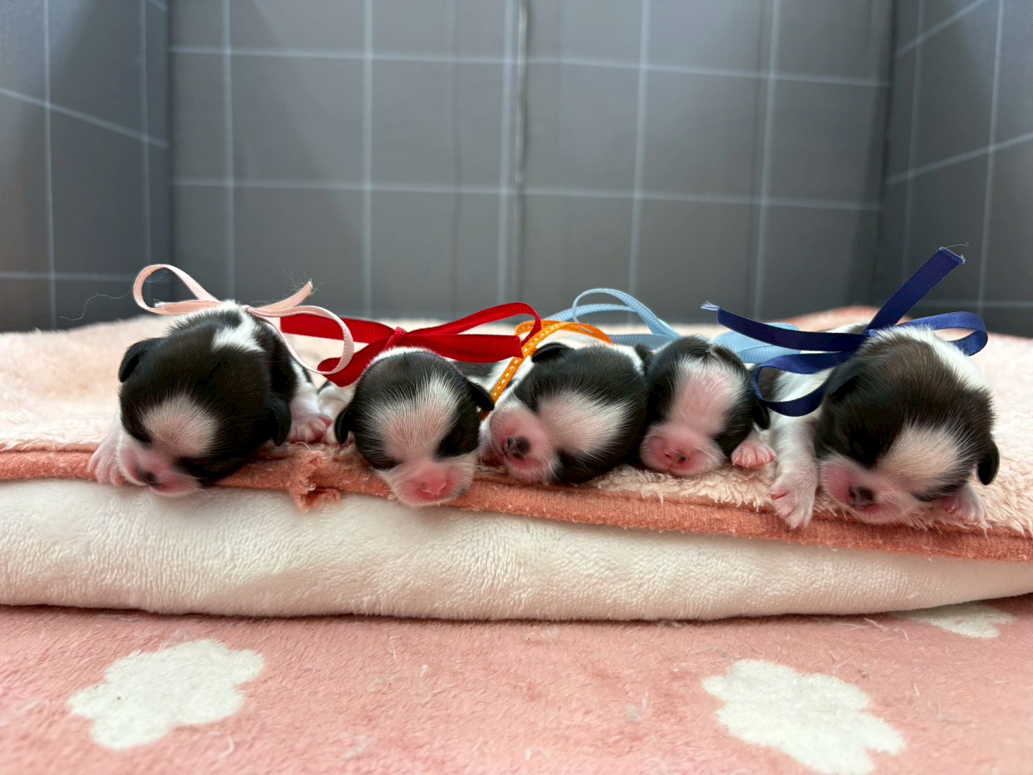 赤ちゃん写真1-3