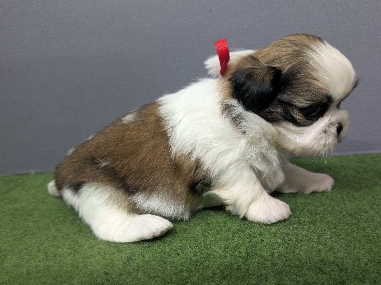 赤ちゃん写真2-2