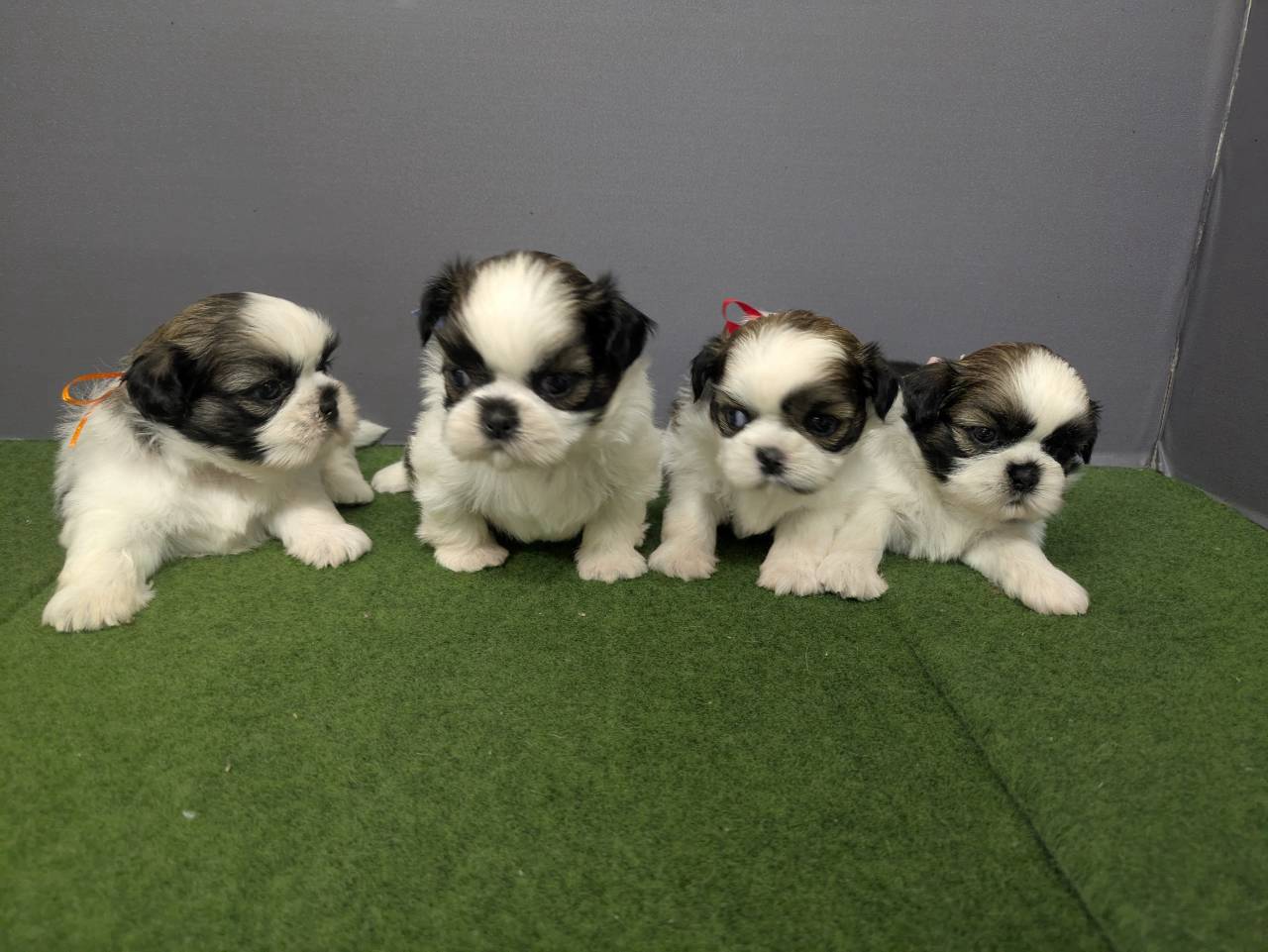 赤ちゃん写真2-3