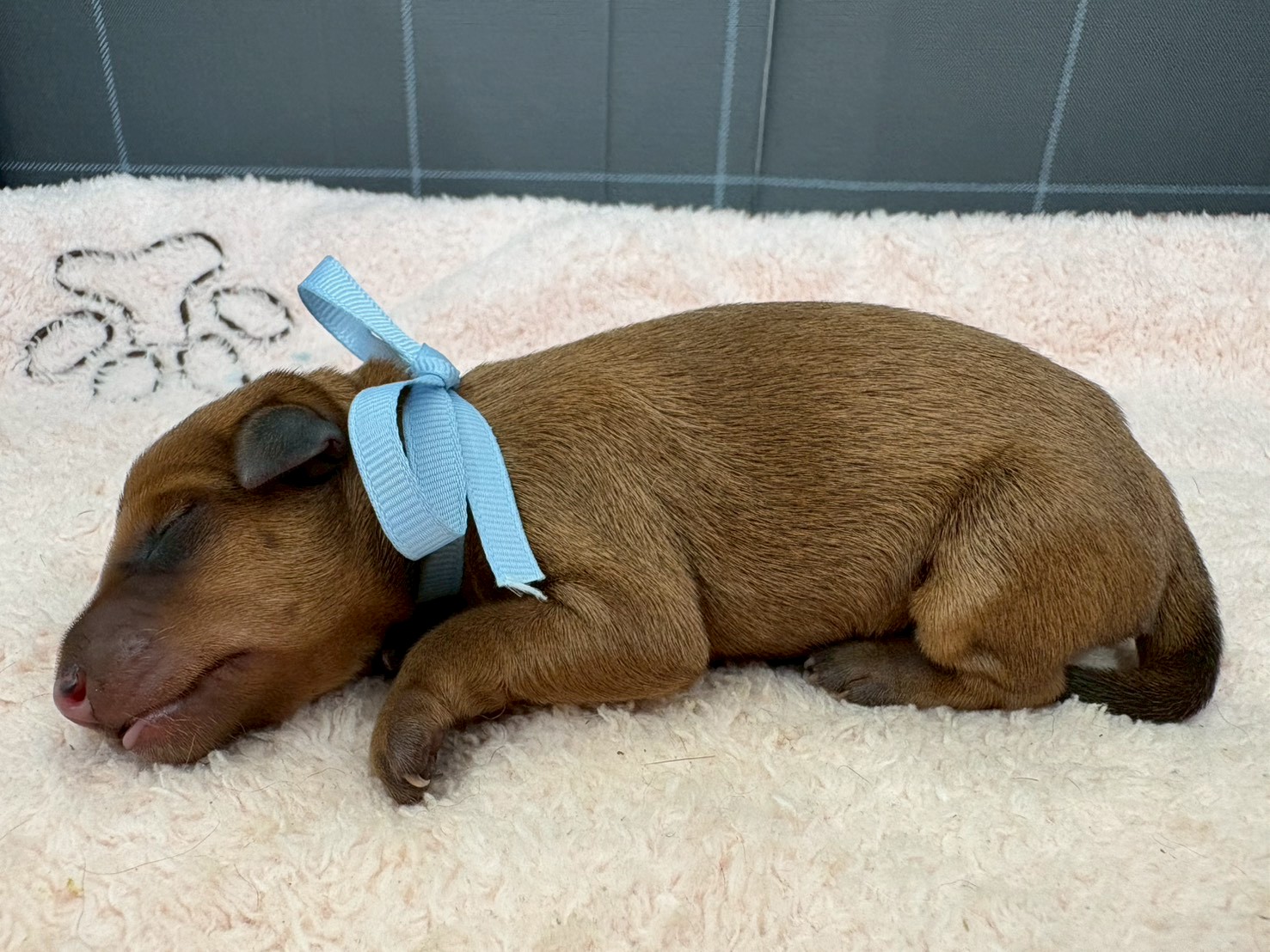 赤ちゃん写真1-2