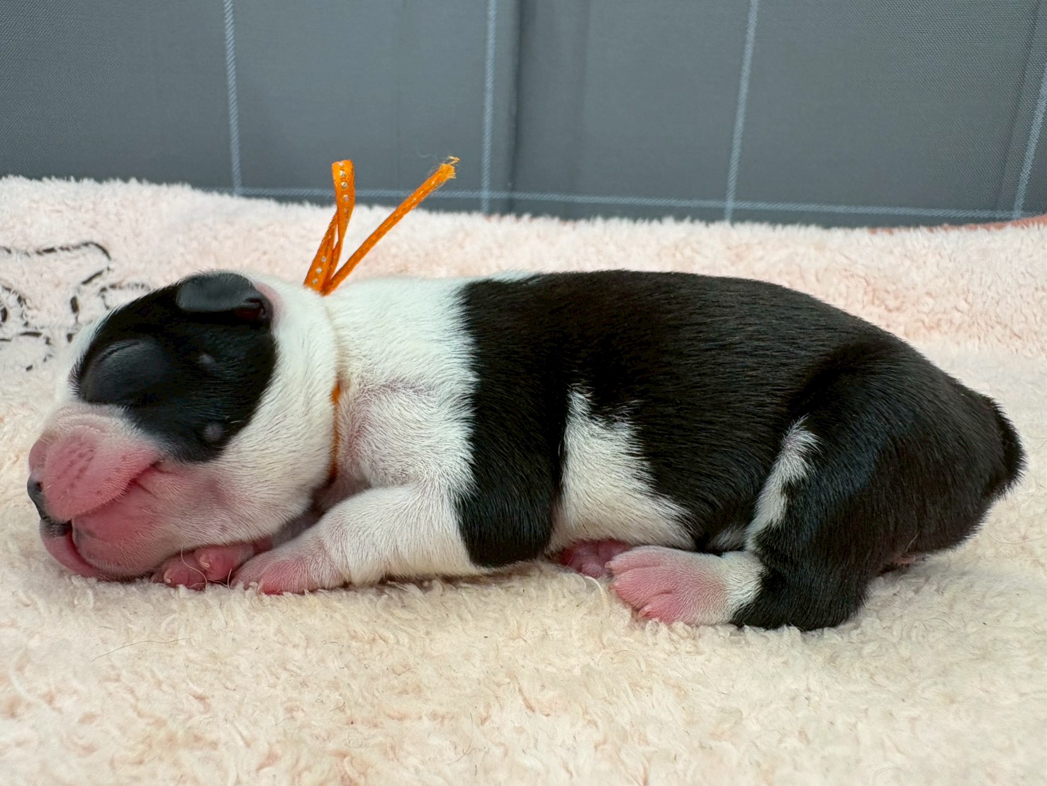 赤ちゃん写真1-2