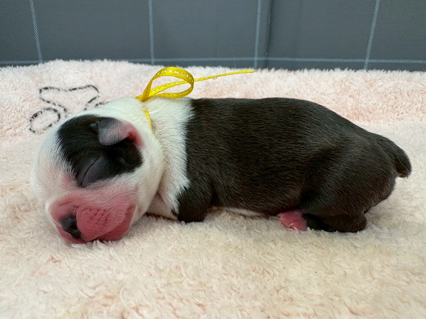 赤ちゃん写真1-2