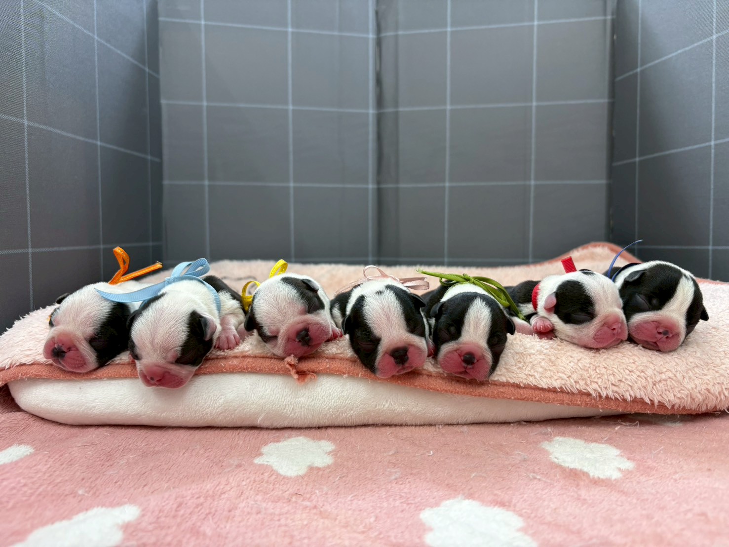 赤ちゃん写真1-3