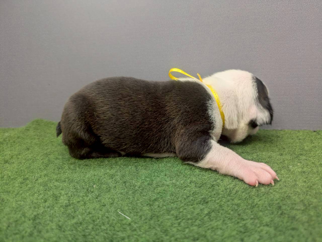 赤ちゃん写真2-2