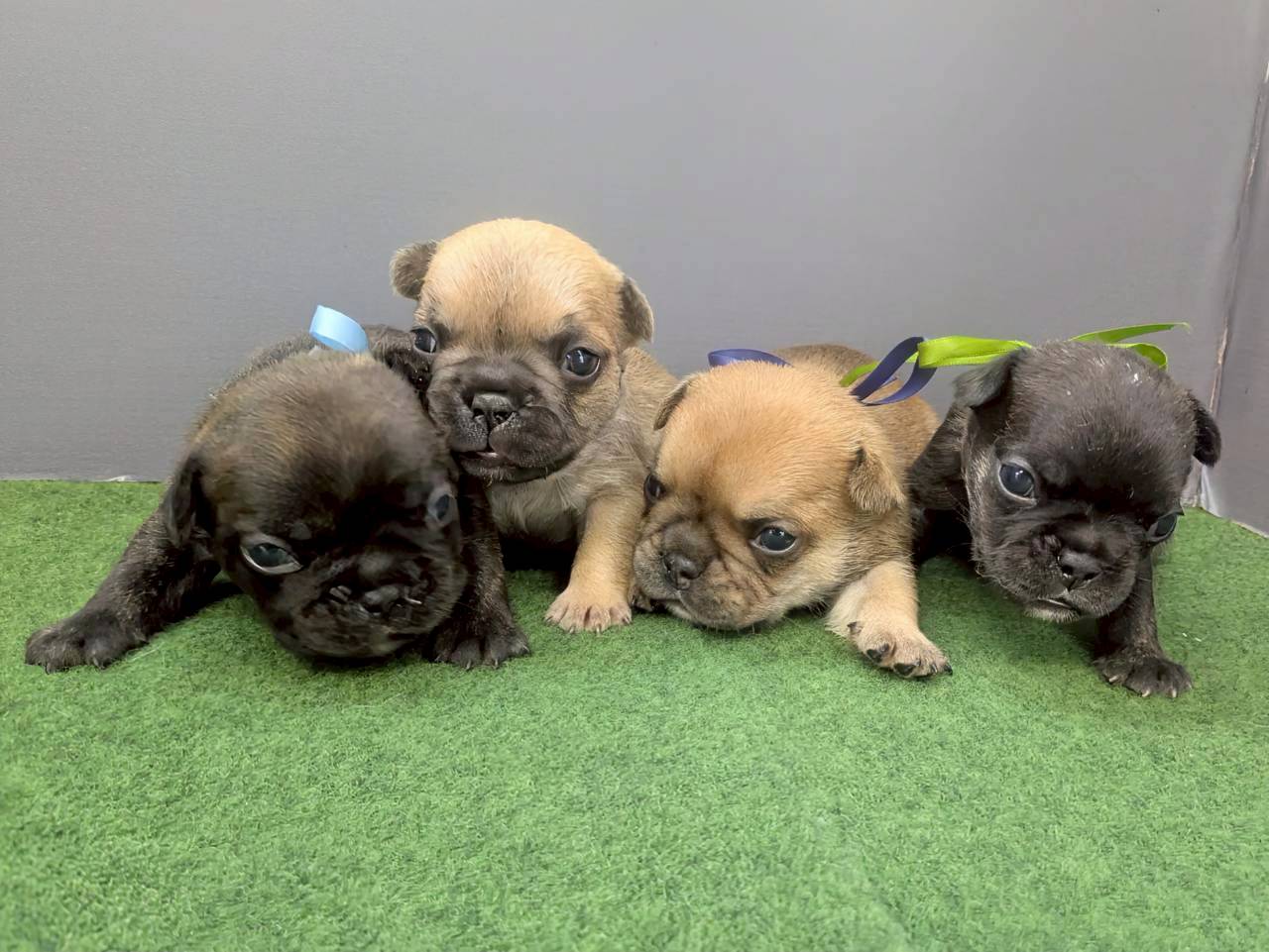 赤ちゃん写真2-3
