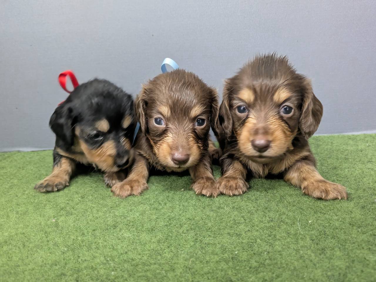 赤ちゃん写真2-3