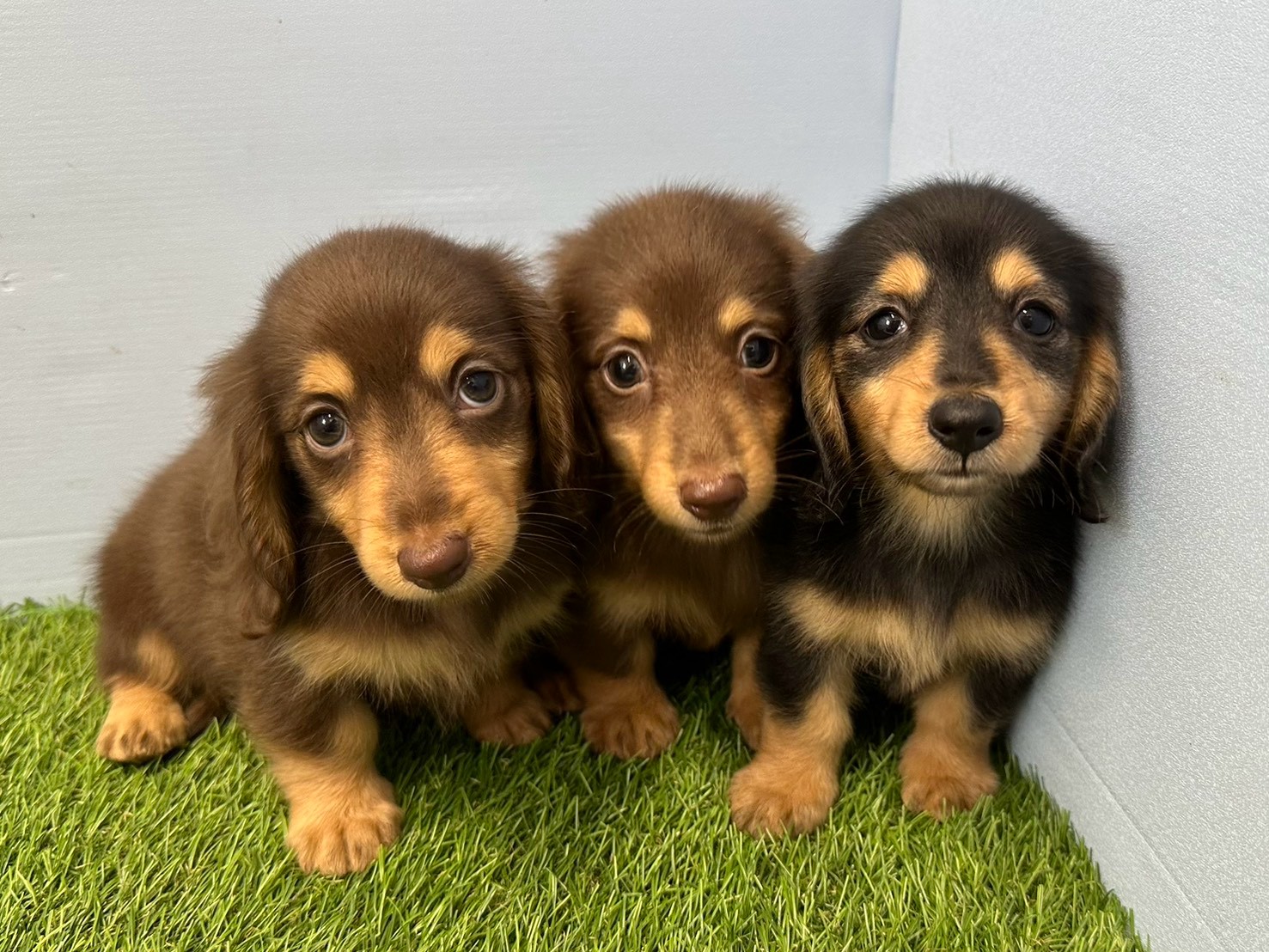 赤ちゃん写真3-3