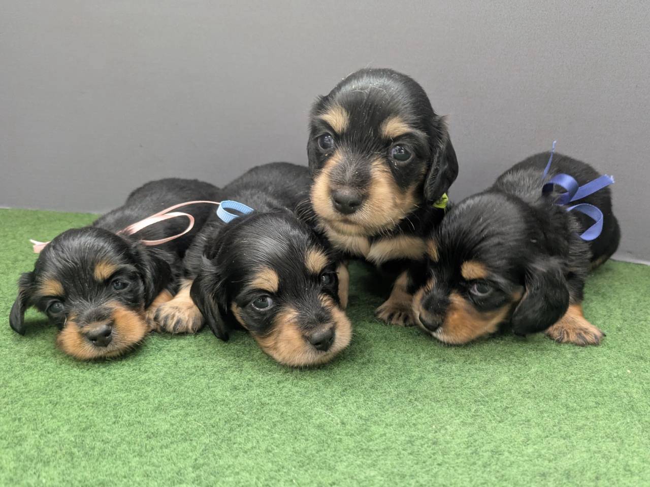 赤ちゃん写真2-3